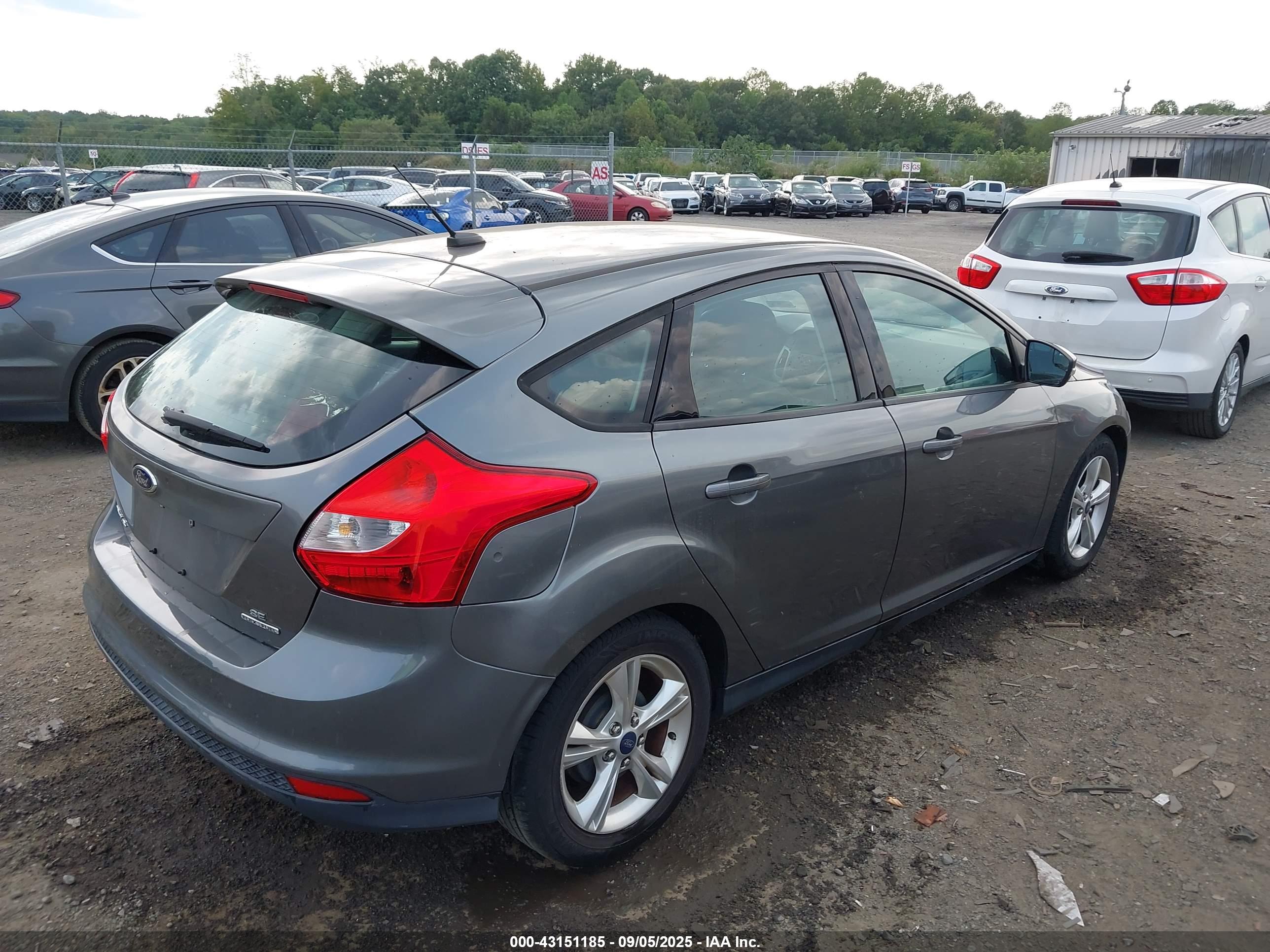 FORD FOCUS image 4