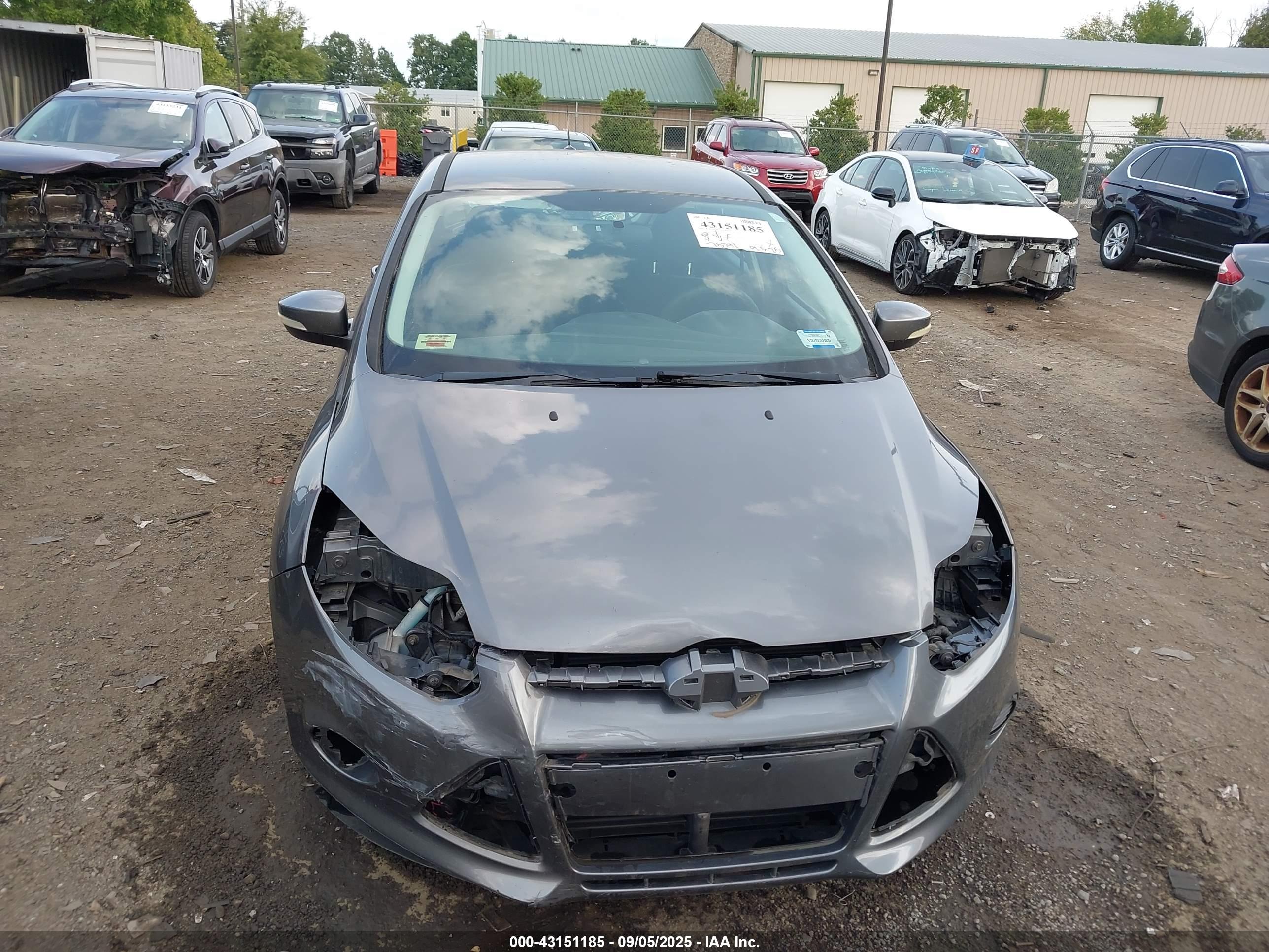 FORD FOCUS image 6