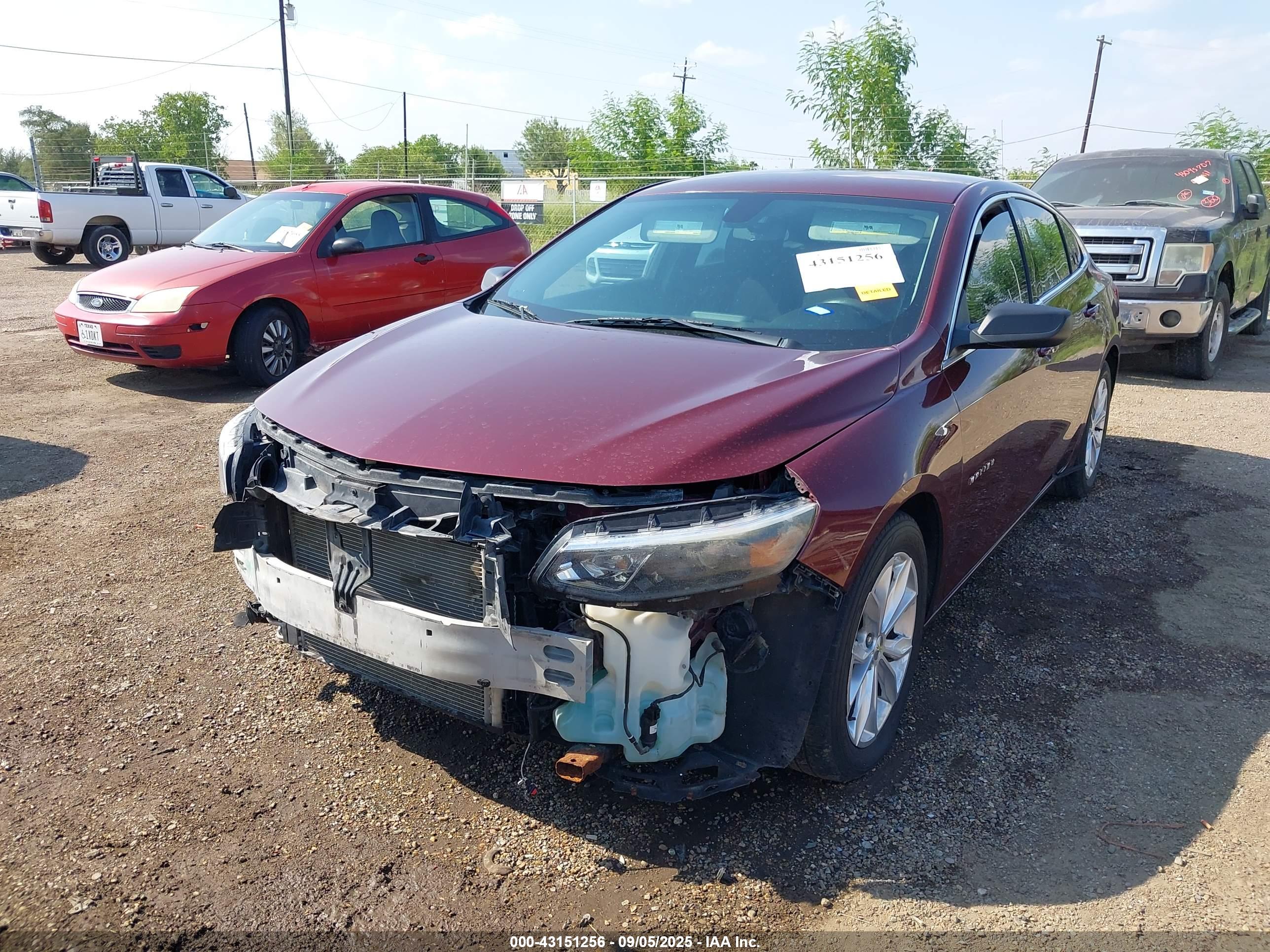 CHEVROLET MALIBU image 6