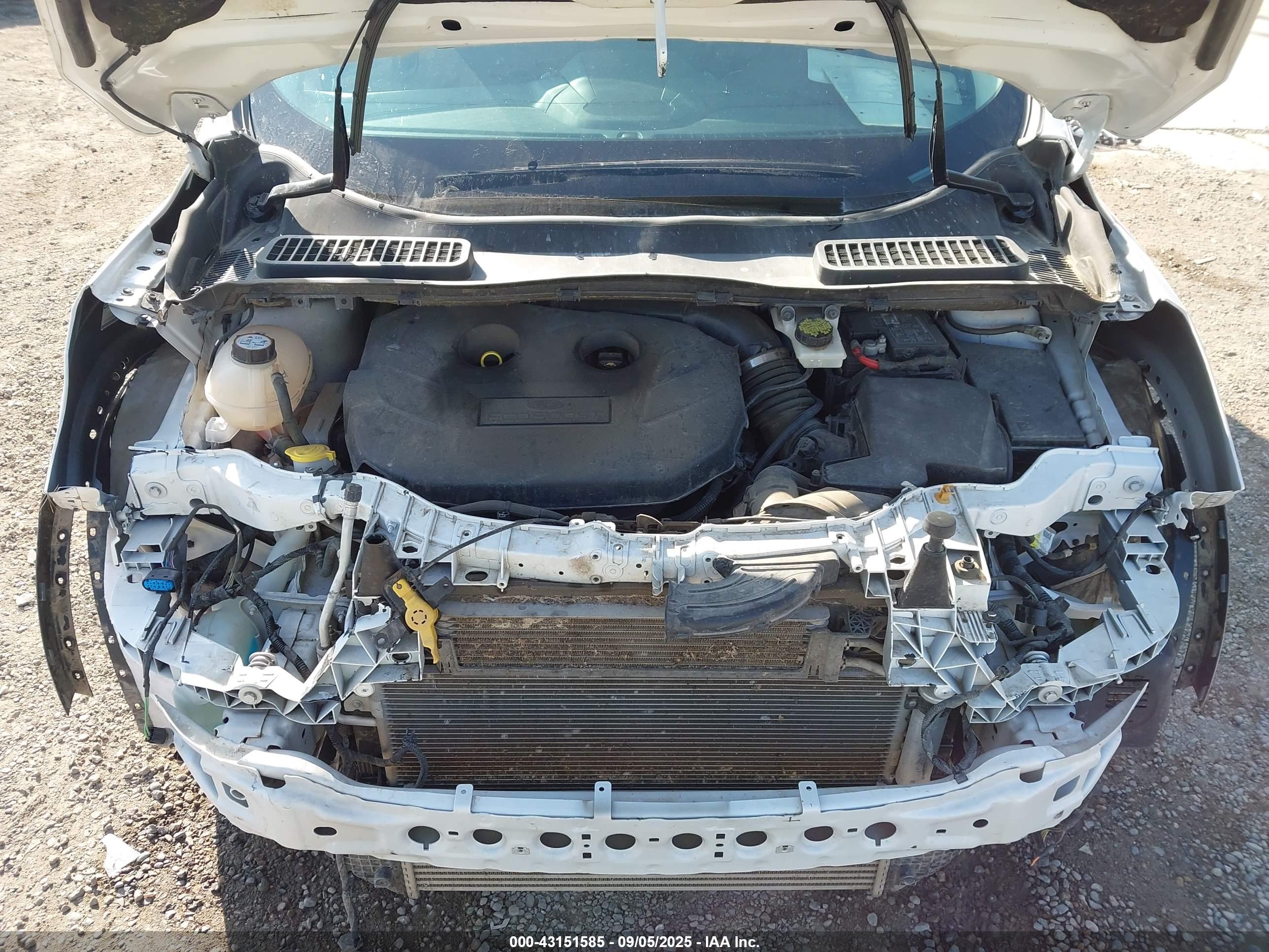 FORD ESCAPE image 10