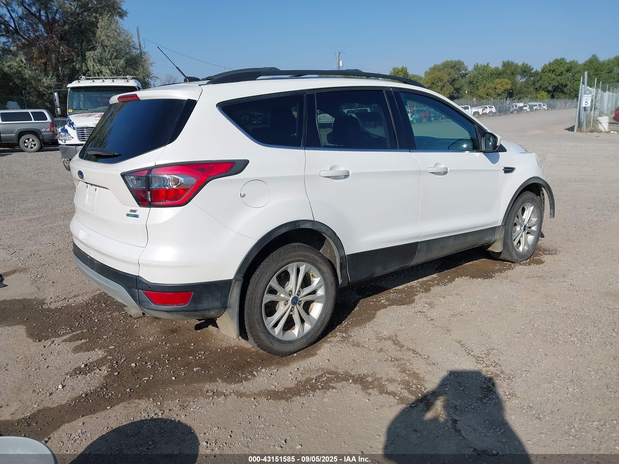 FORD ESCAPE image 4