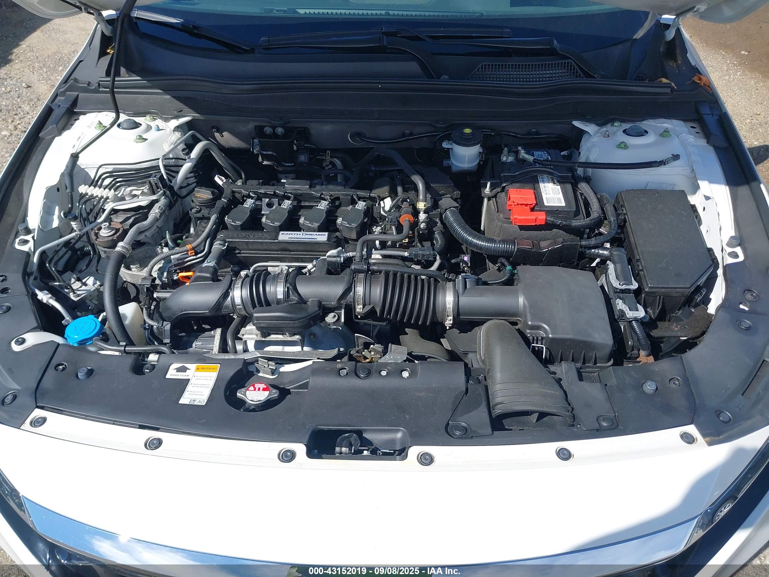 HONDA ACCORD image 10