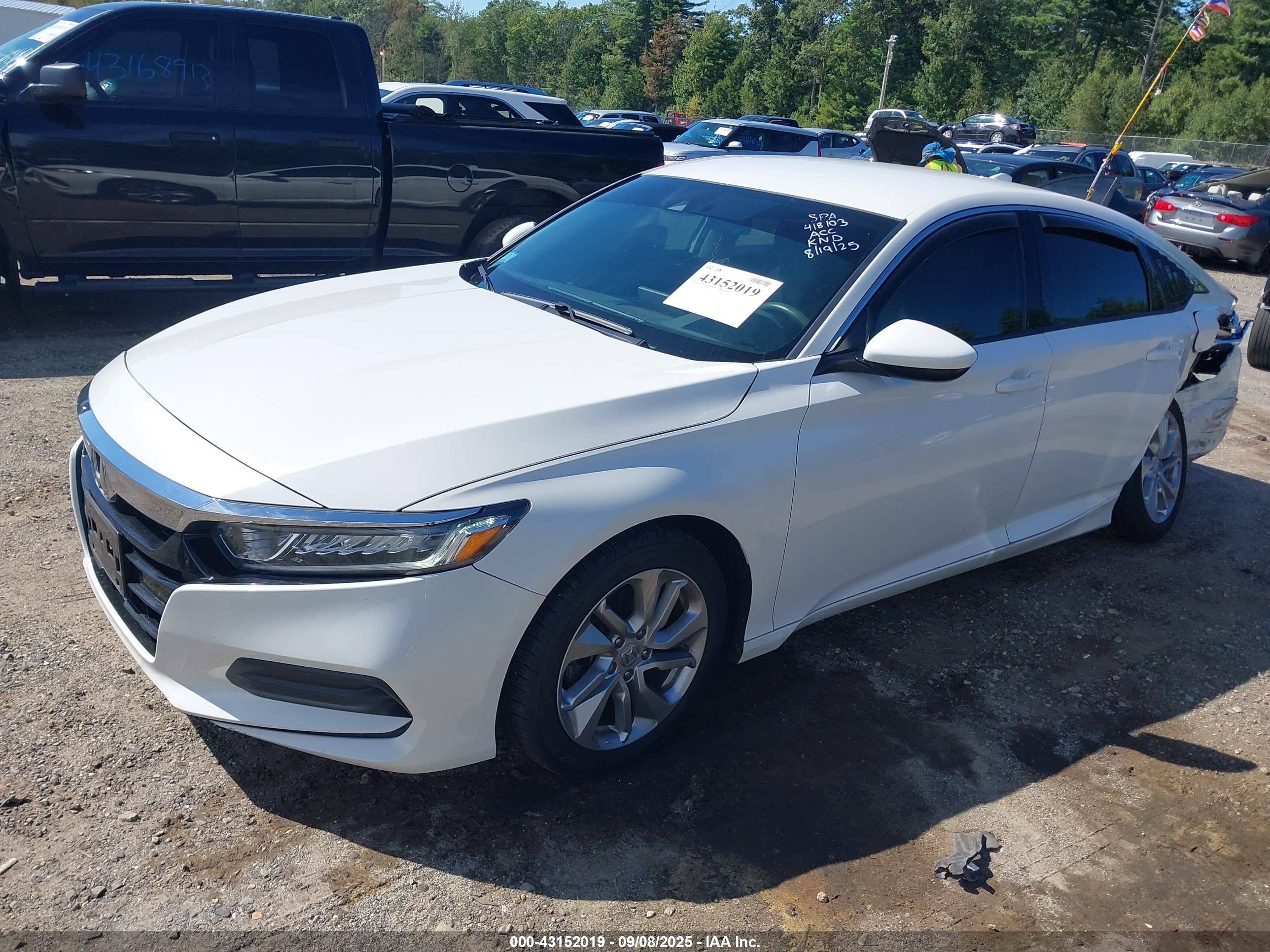 HONDA ACCORD image 2