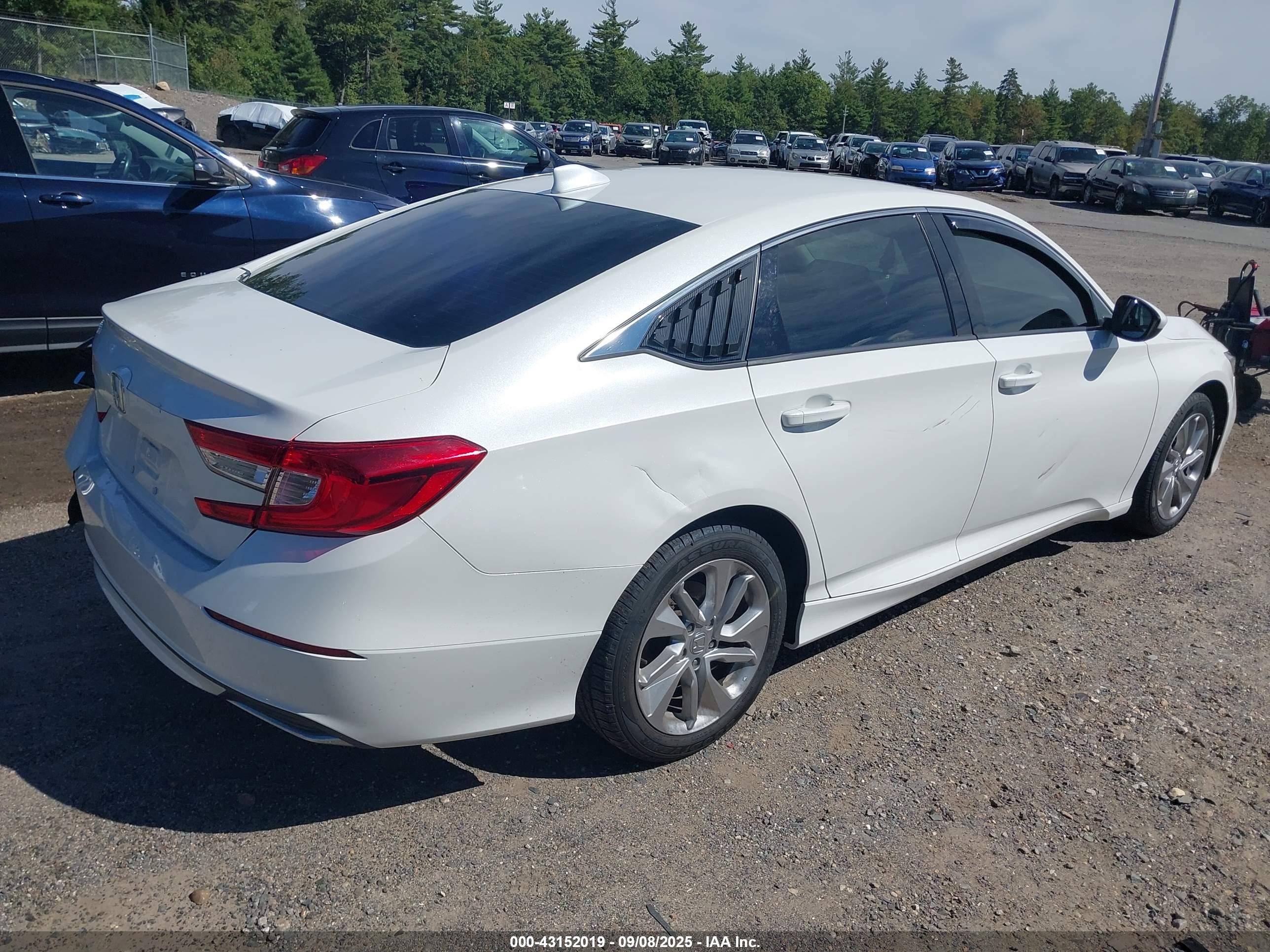 HONDA ACCORD image 4