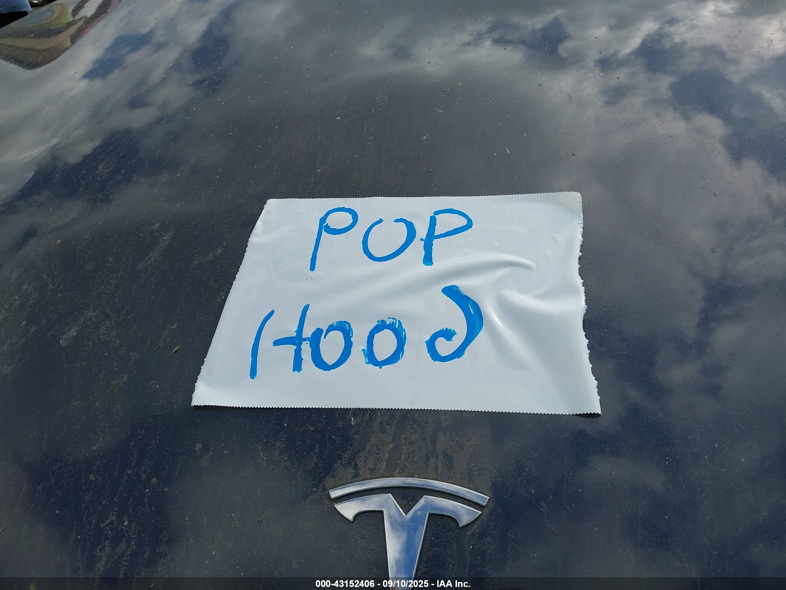 TESLA MODEL image 10