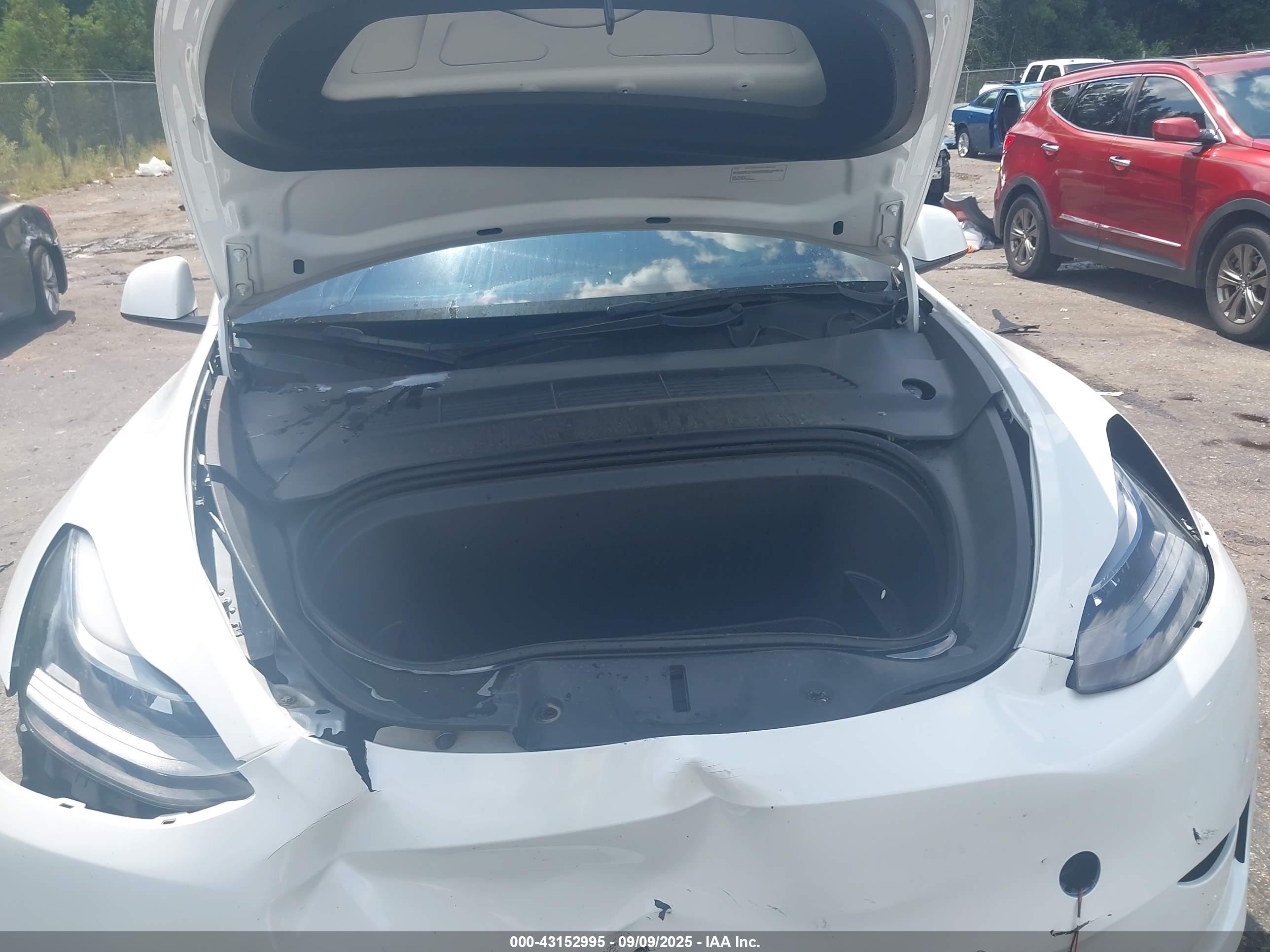 TESLA MODEL image 10
