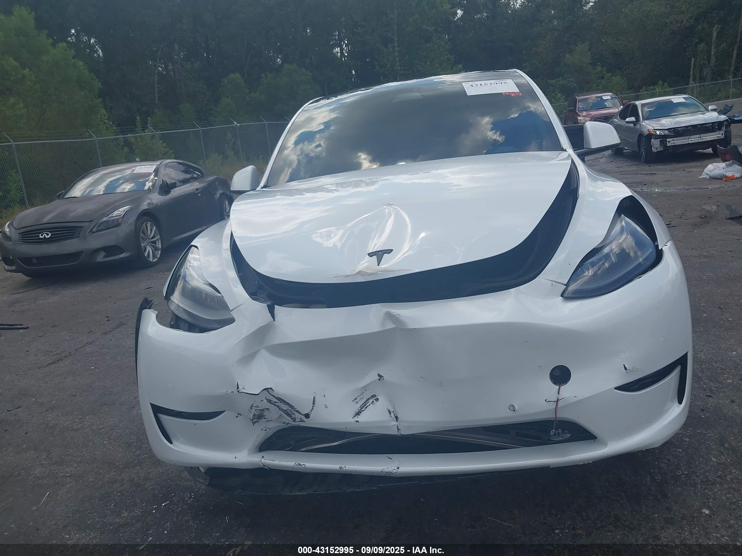 TESLA MODEL image 6