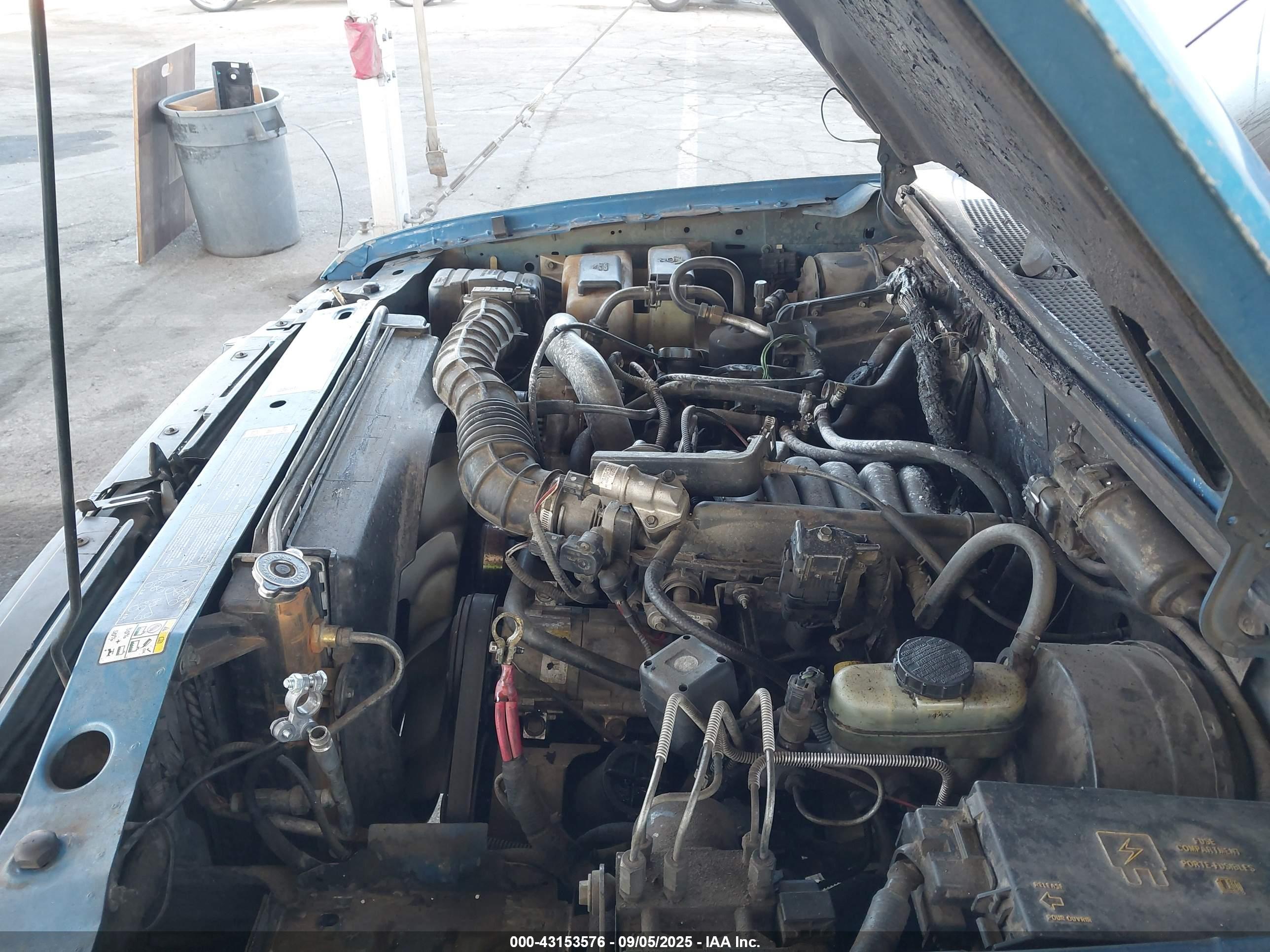 FORD RANGER image 6