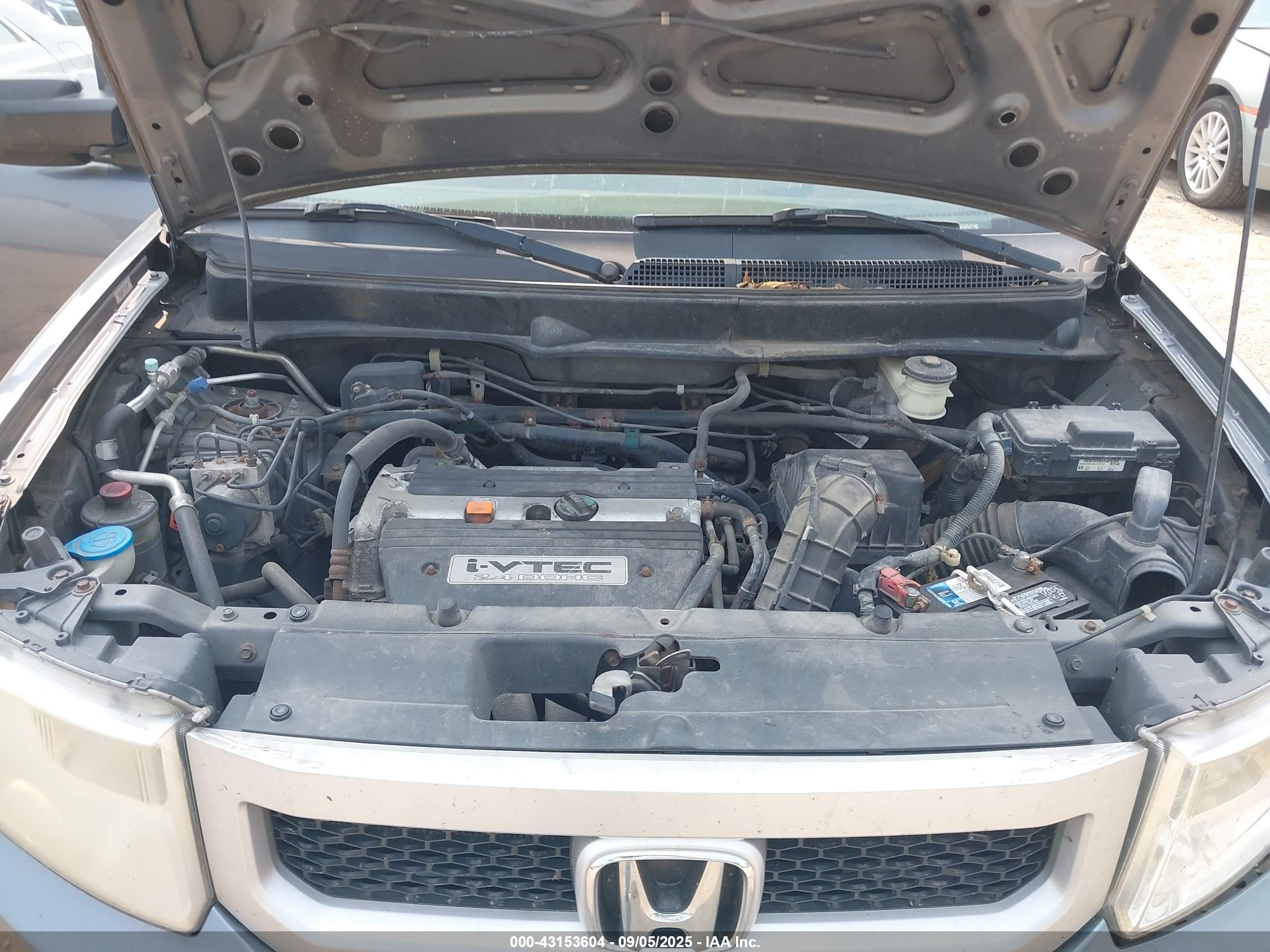 HONDA ELEMENT image 10