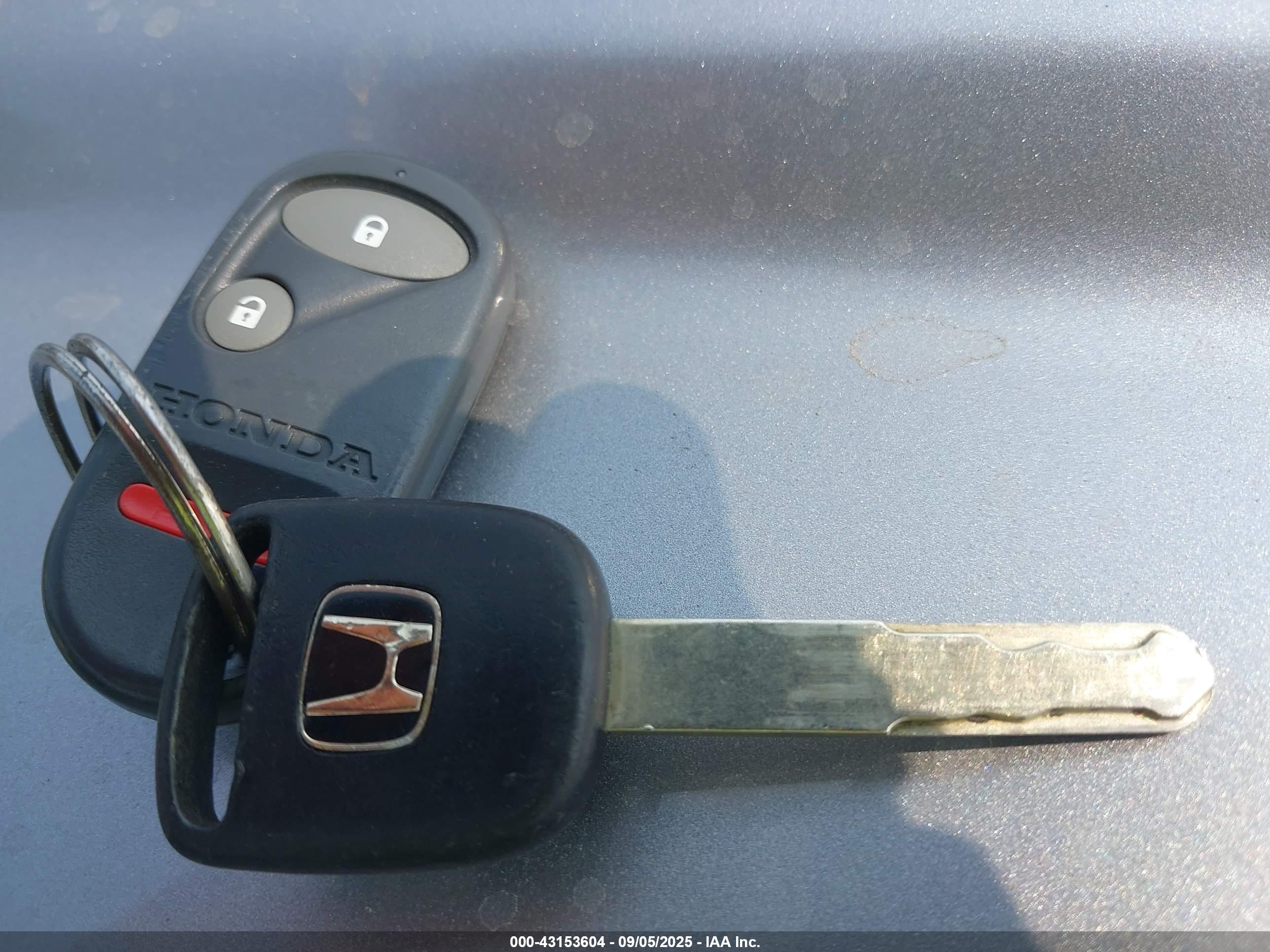 HONDA ELEMENT image 11