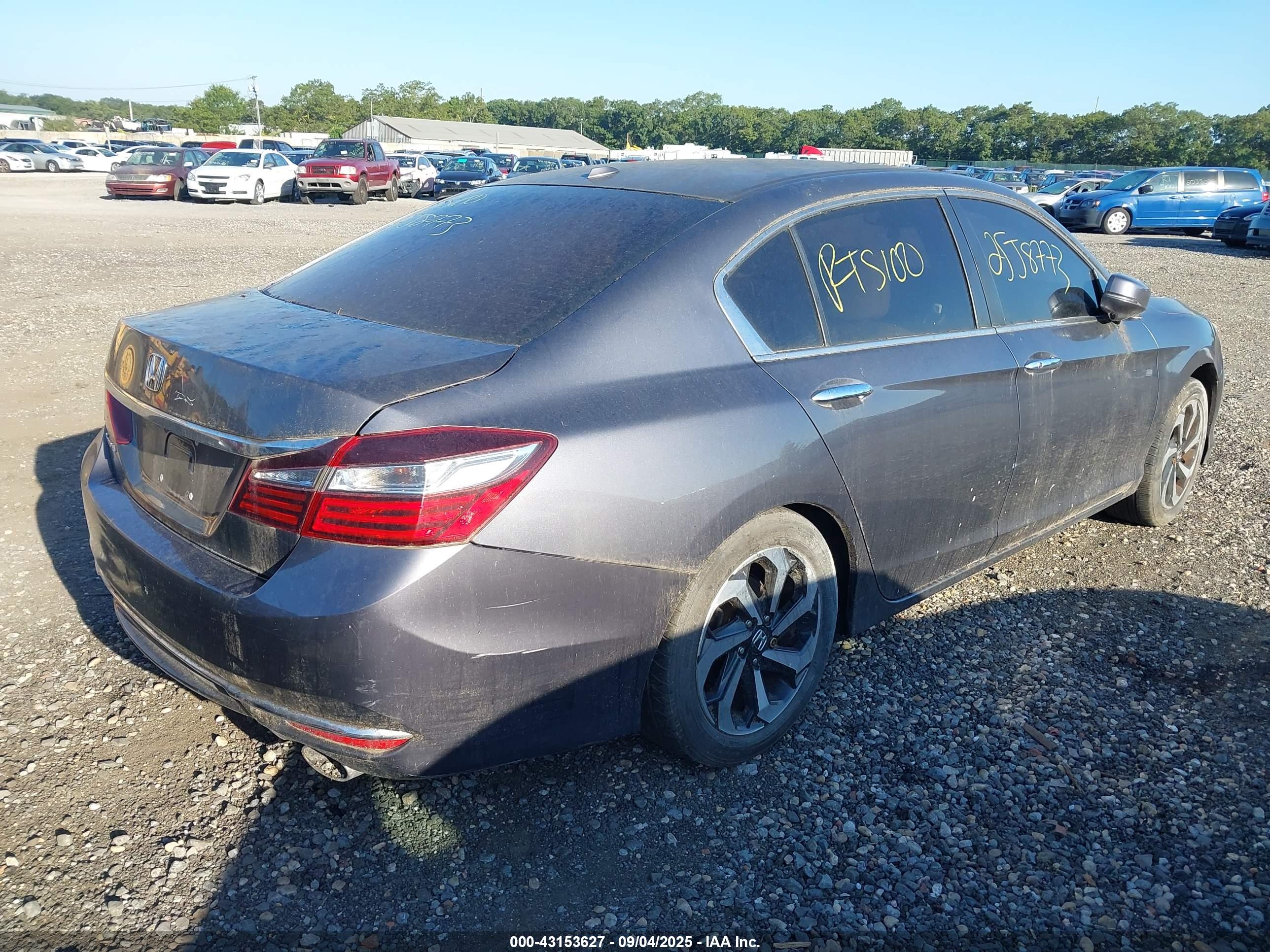 HONDA ACCORD image 4