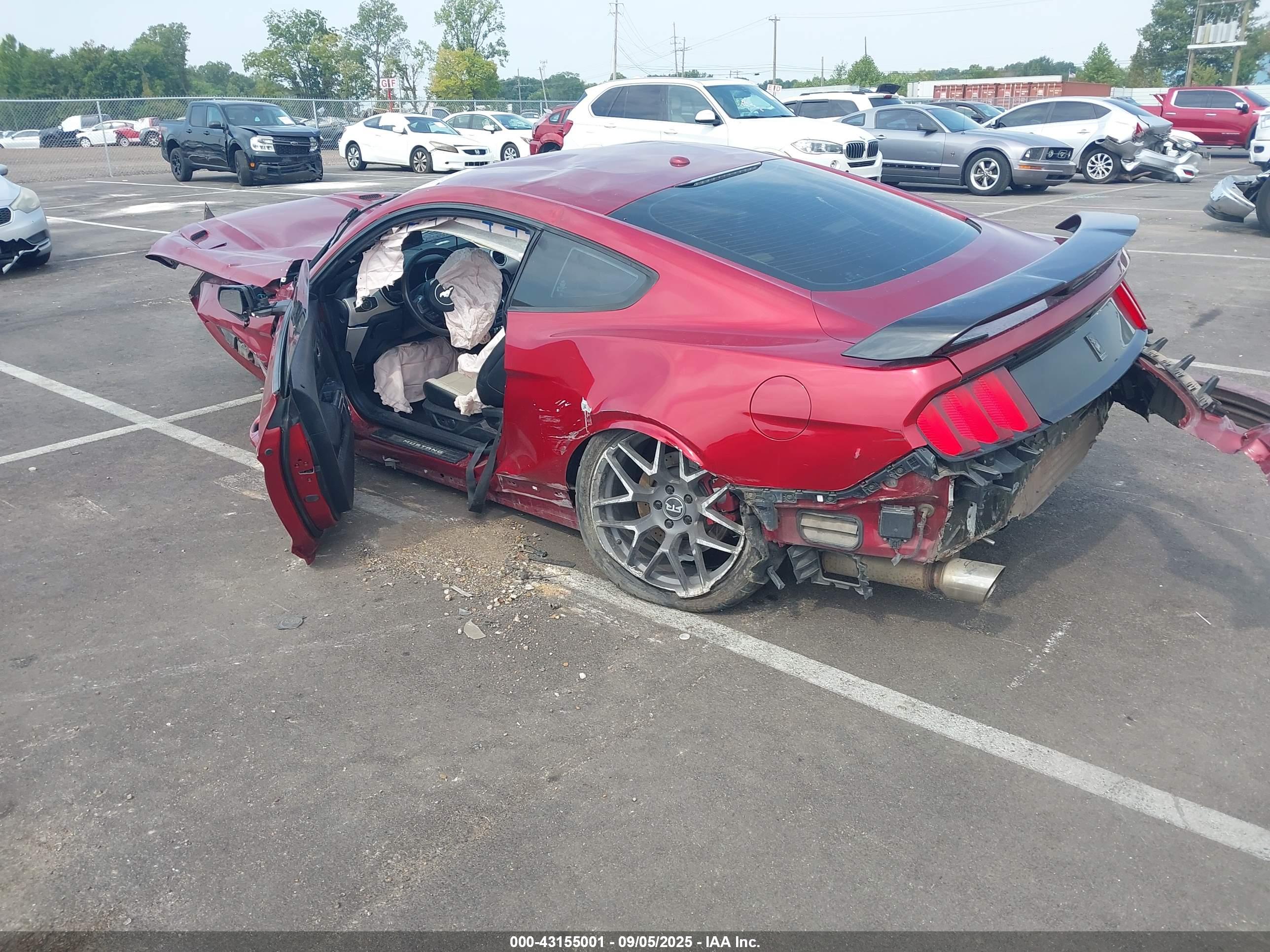 FORD MUSTANG image 3