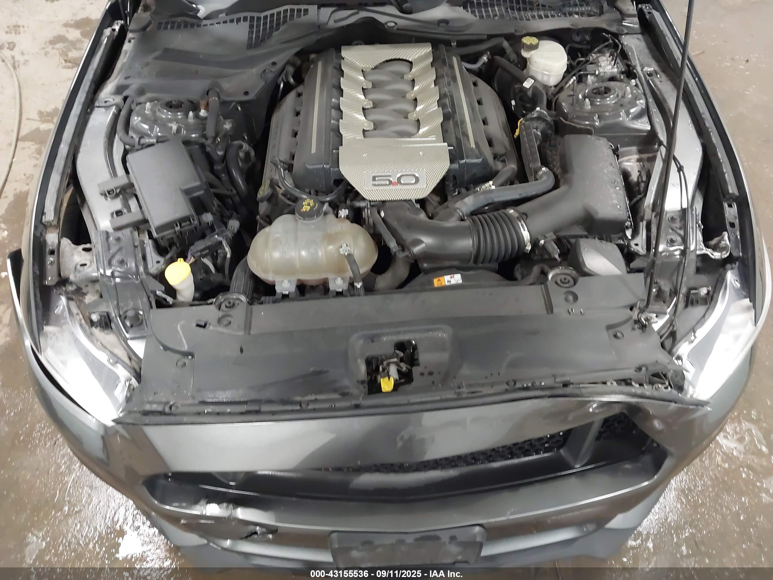 FORD MUSTANG image 10