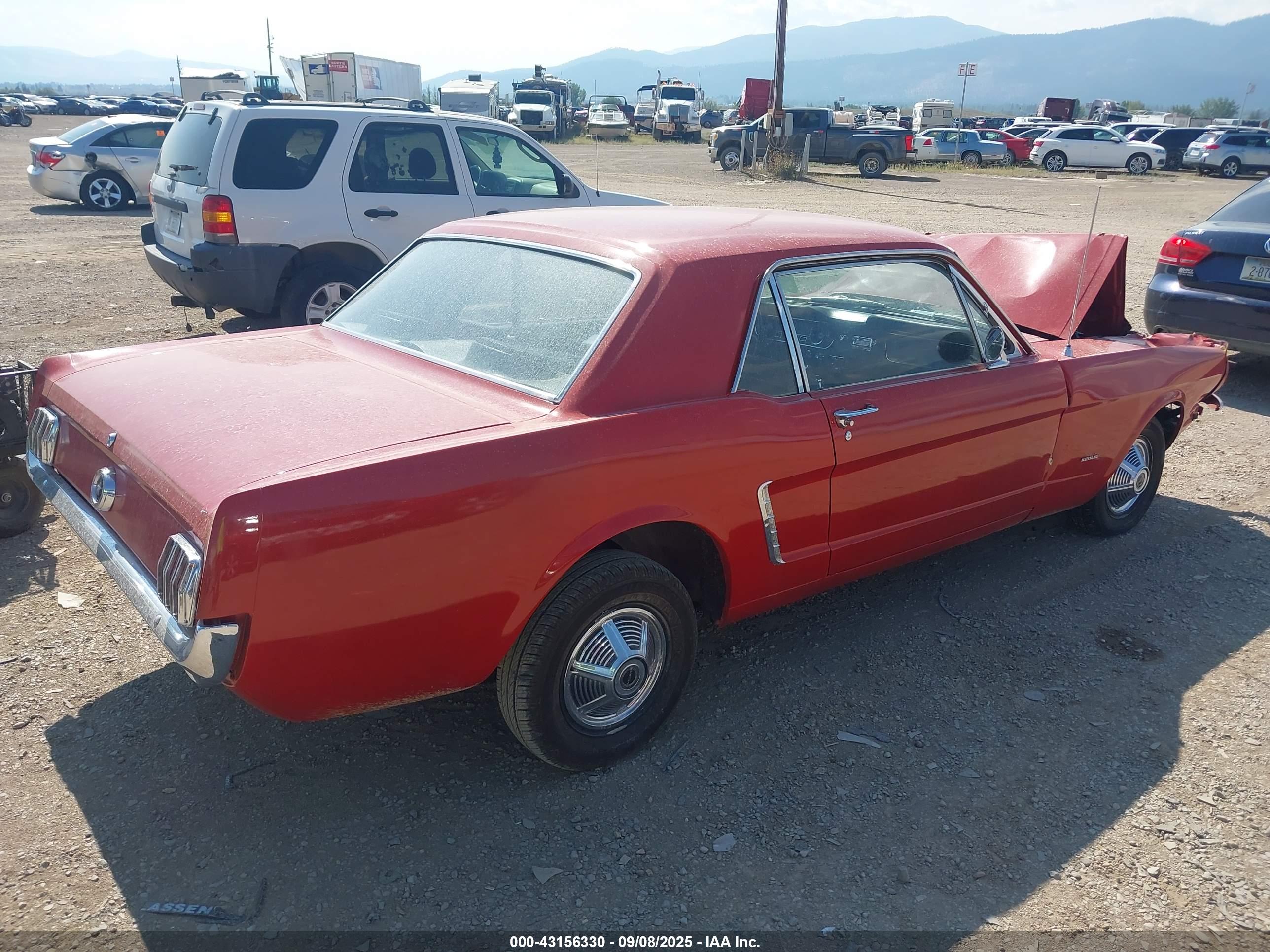 FORD MUSTANG image 4