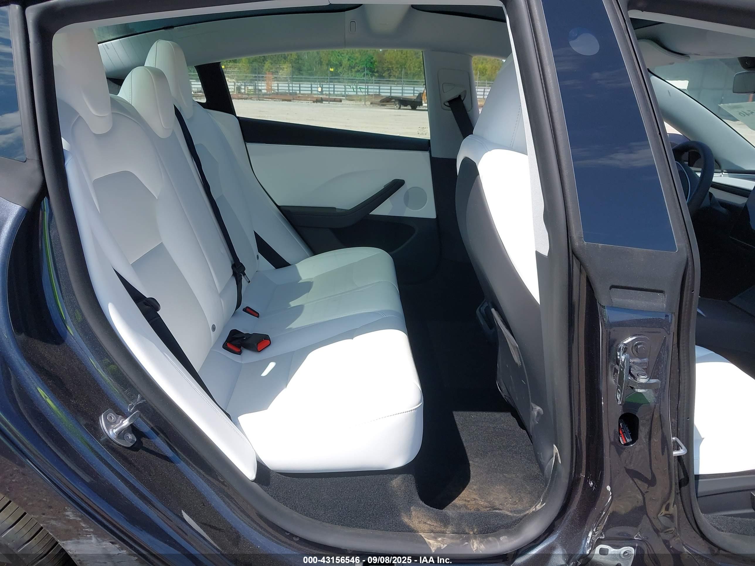 TESLA MODEL image 8
