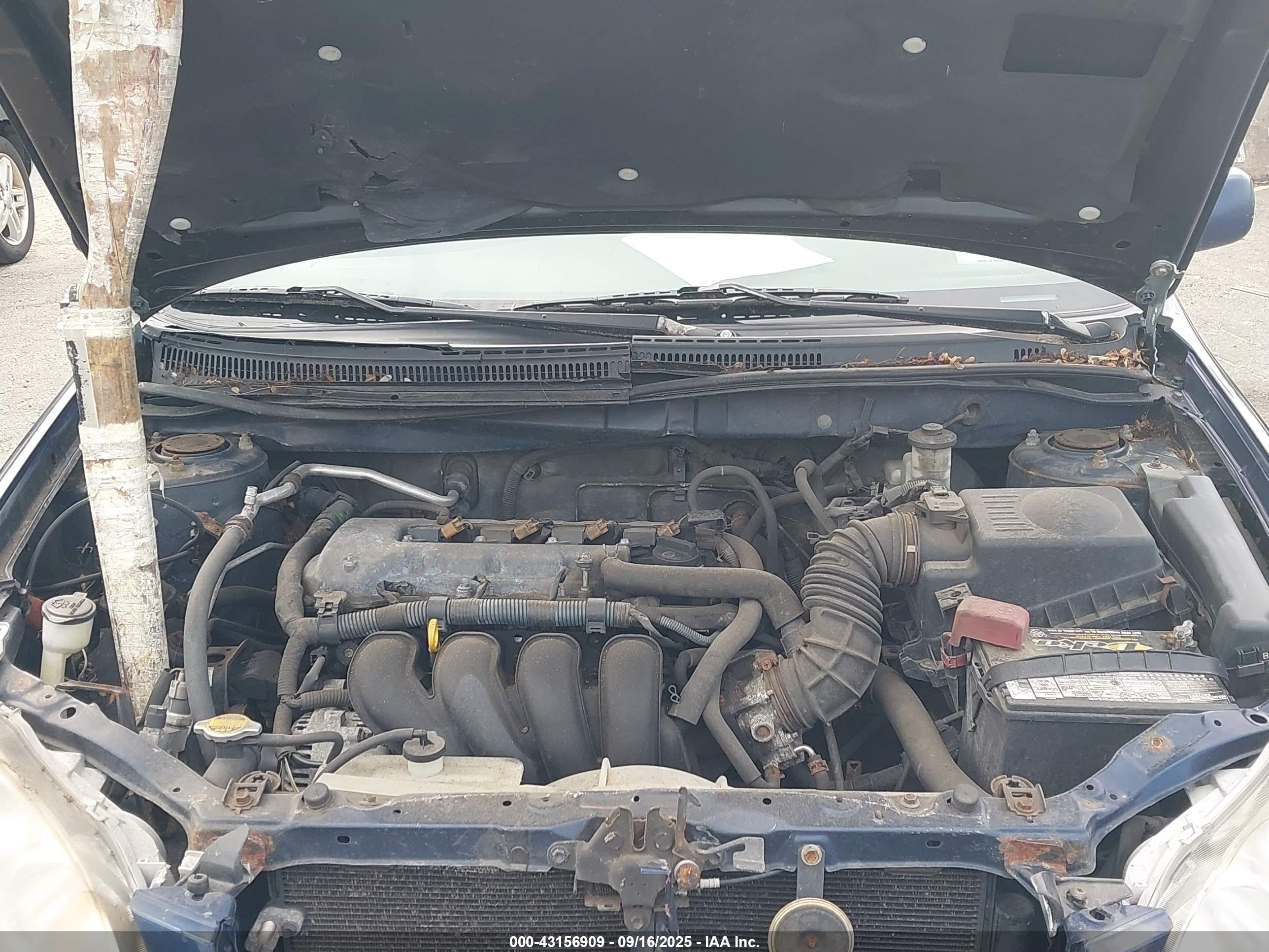 TOYOTA COROLLA image 10