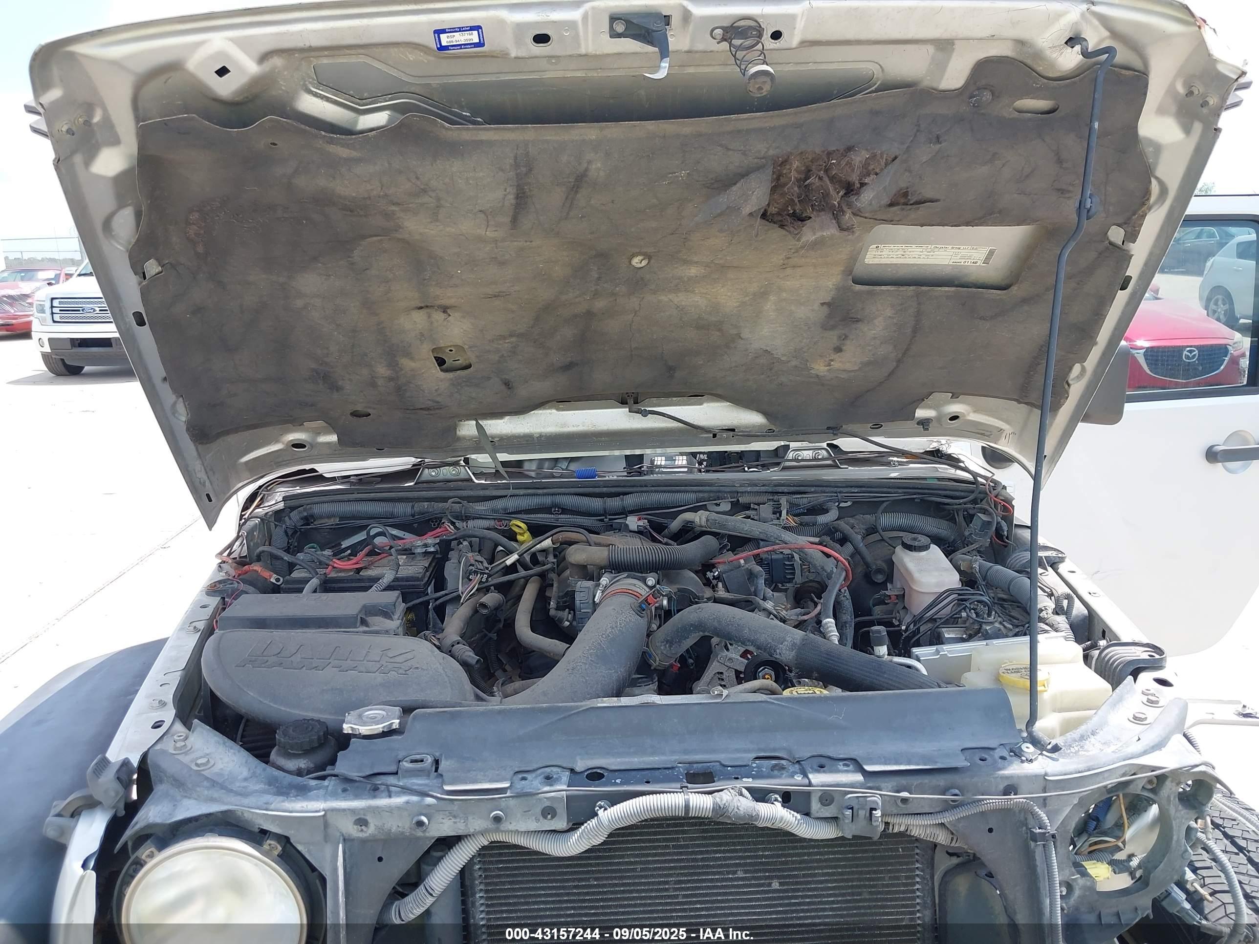 JEEP WRANGLER image 10