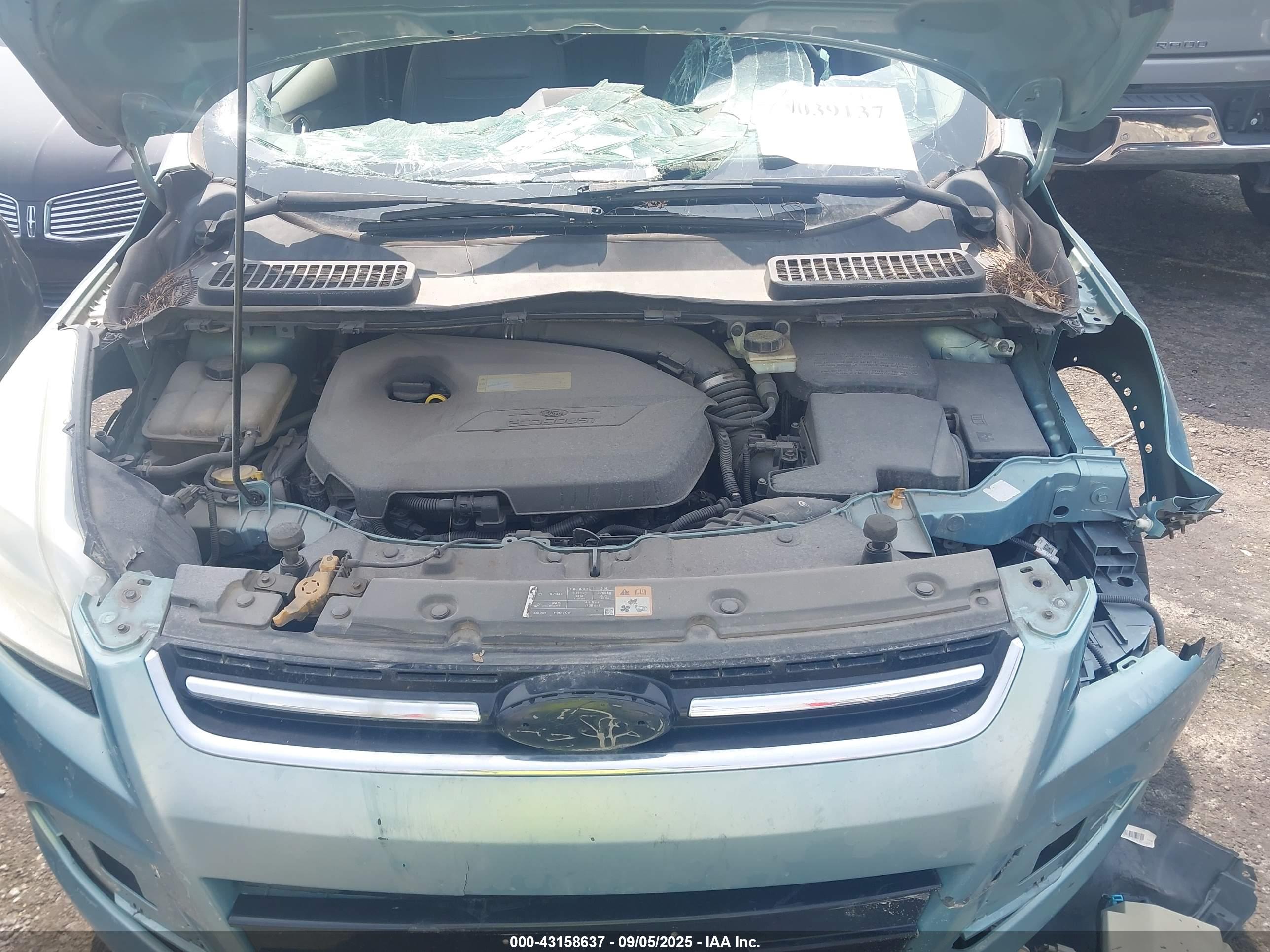 FORD ESCAPE image 10