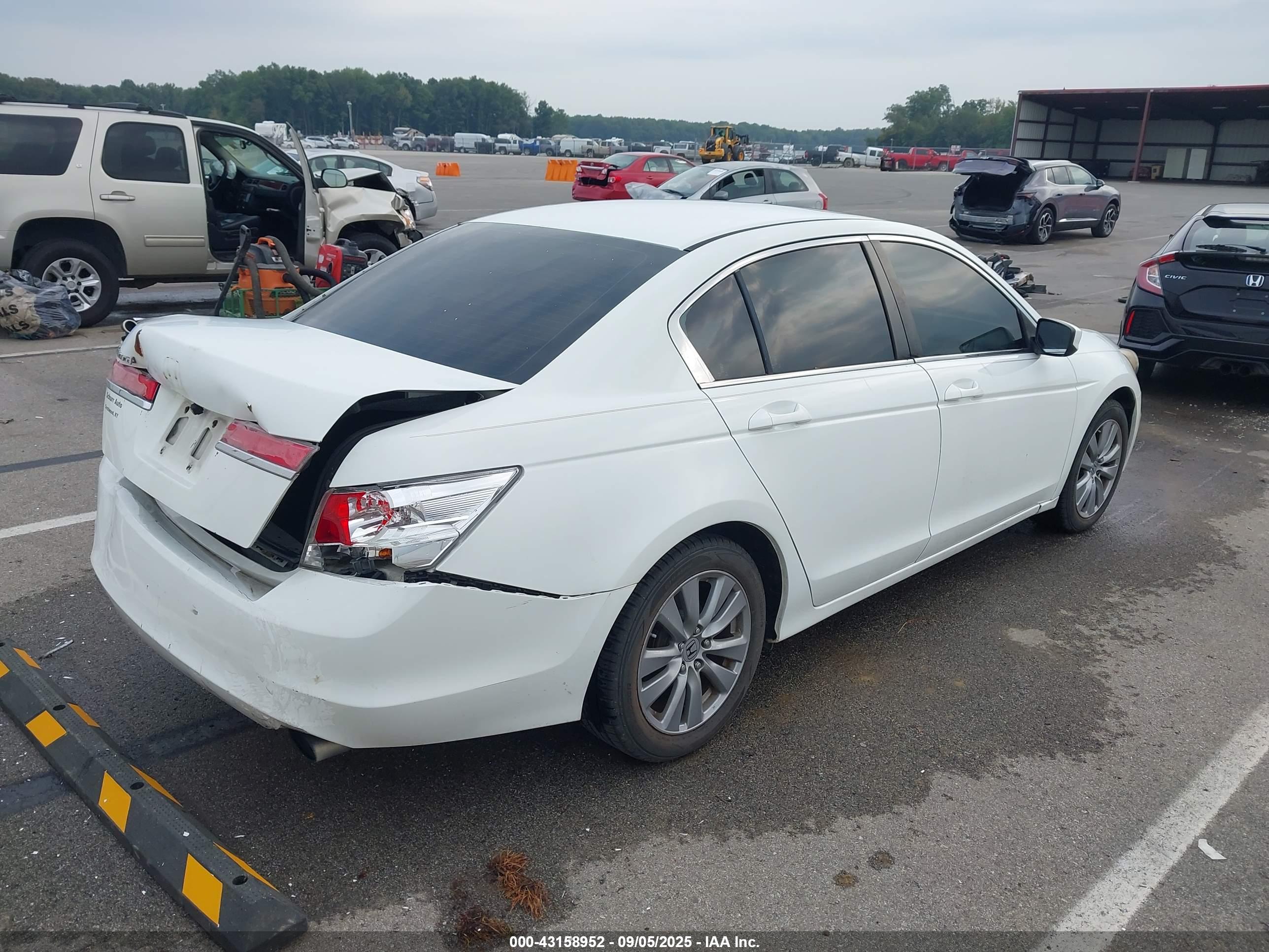 HONDA ACCORD image 4
