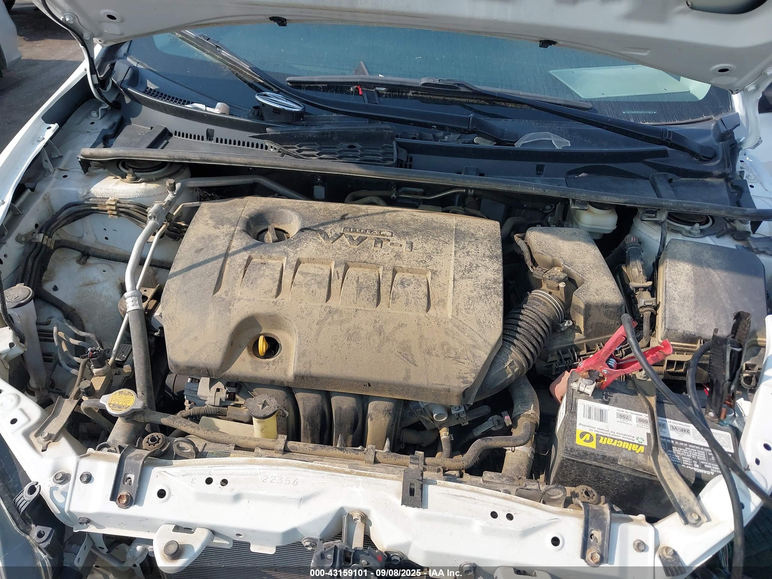 TOYOTA COROLLA image 10