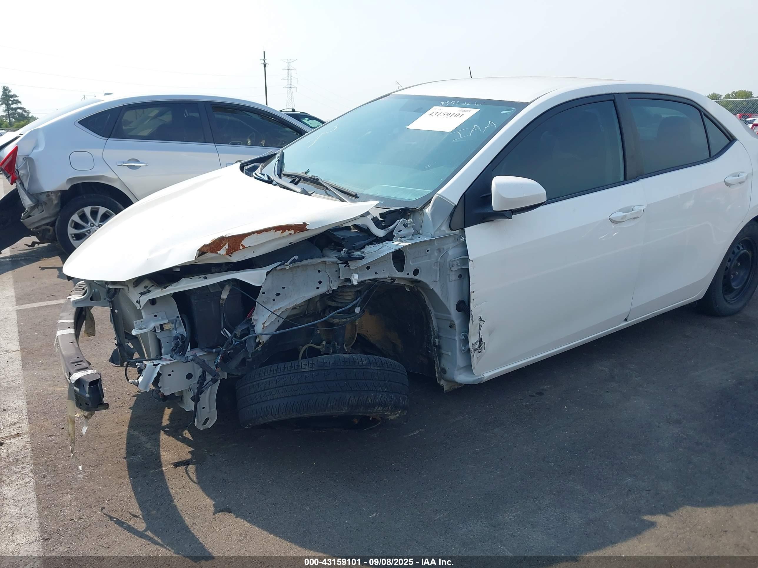 TOYOTA COROLLA image 2