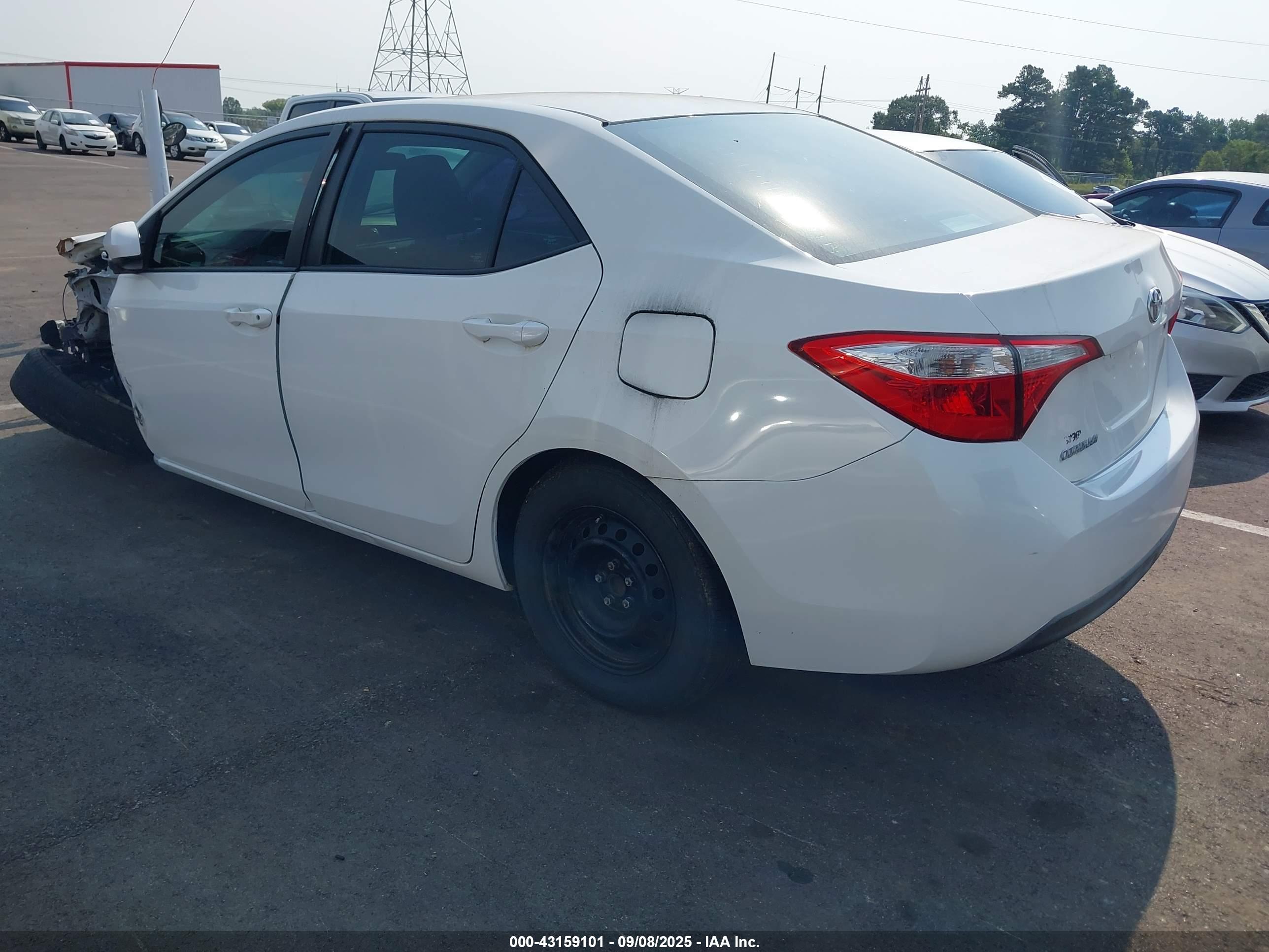 TOYOTA COROLLA image 3