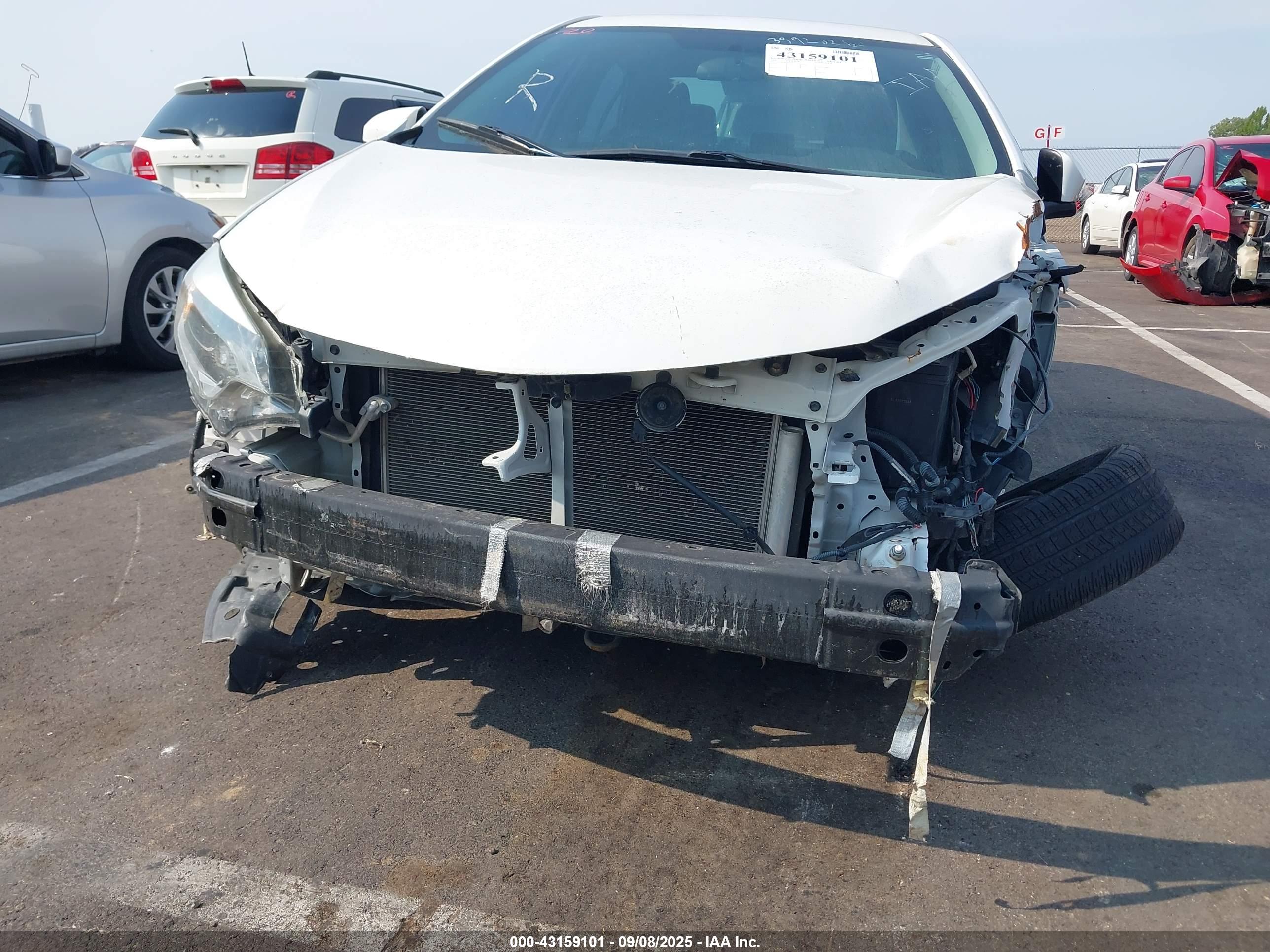 TOYOTA COROLLA image 6