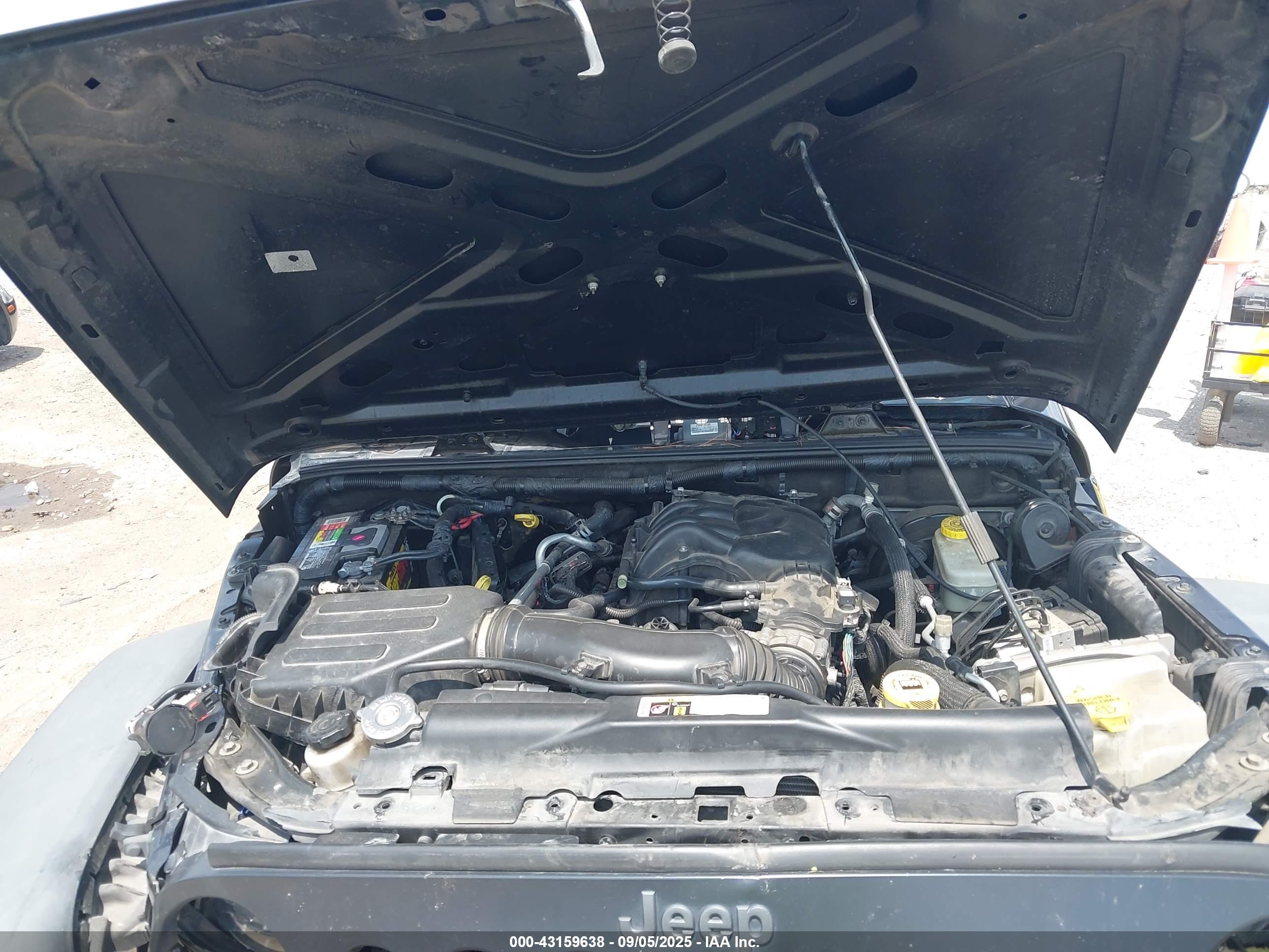 JEEP WRANGLER image 10