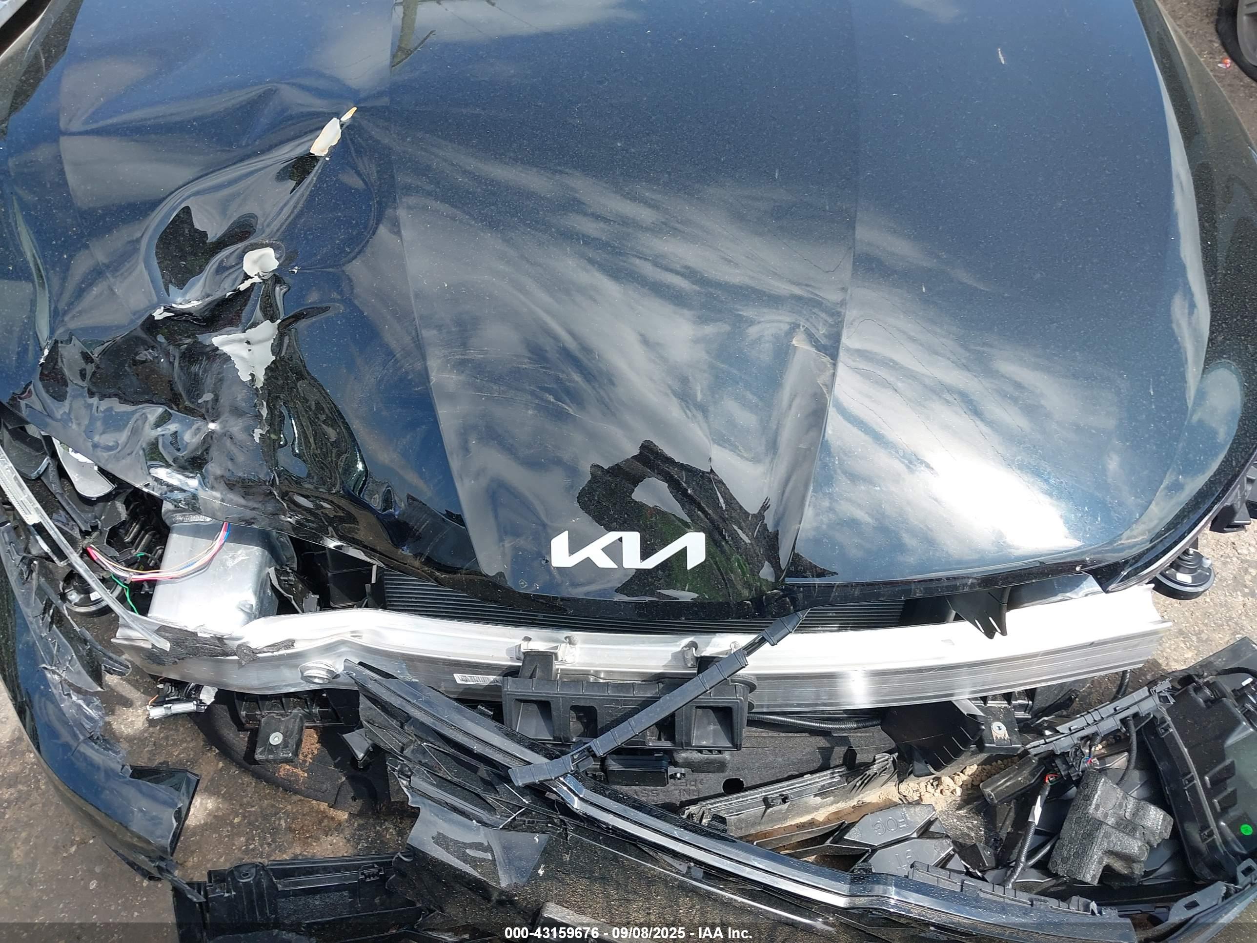 KIA K5 image 6