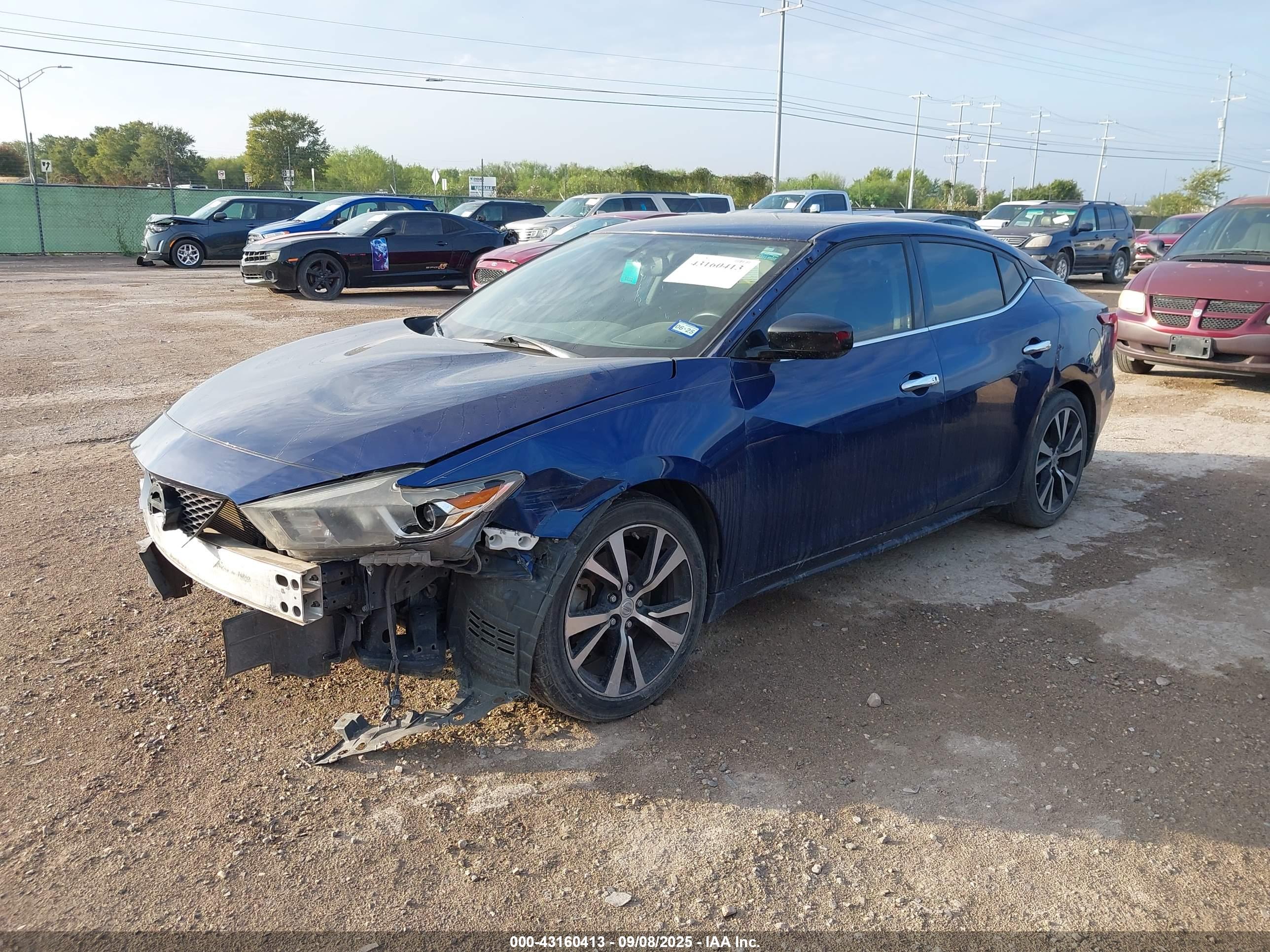 NISSAN MAXIMA image 2