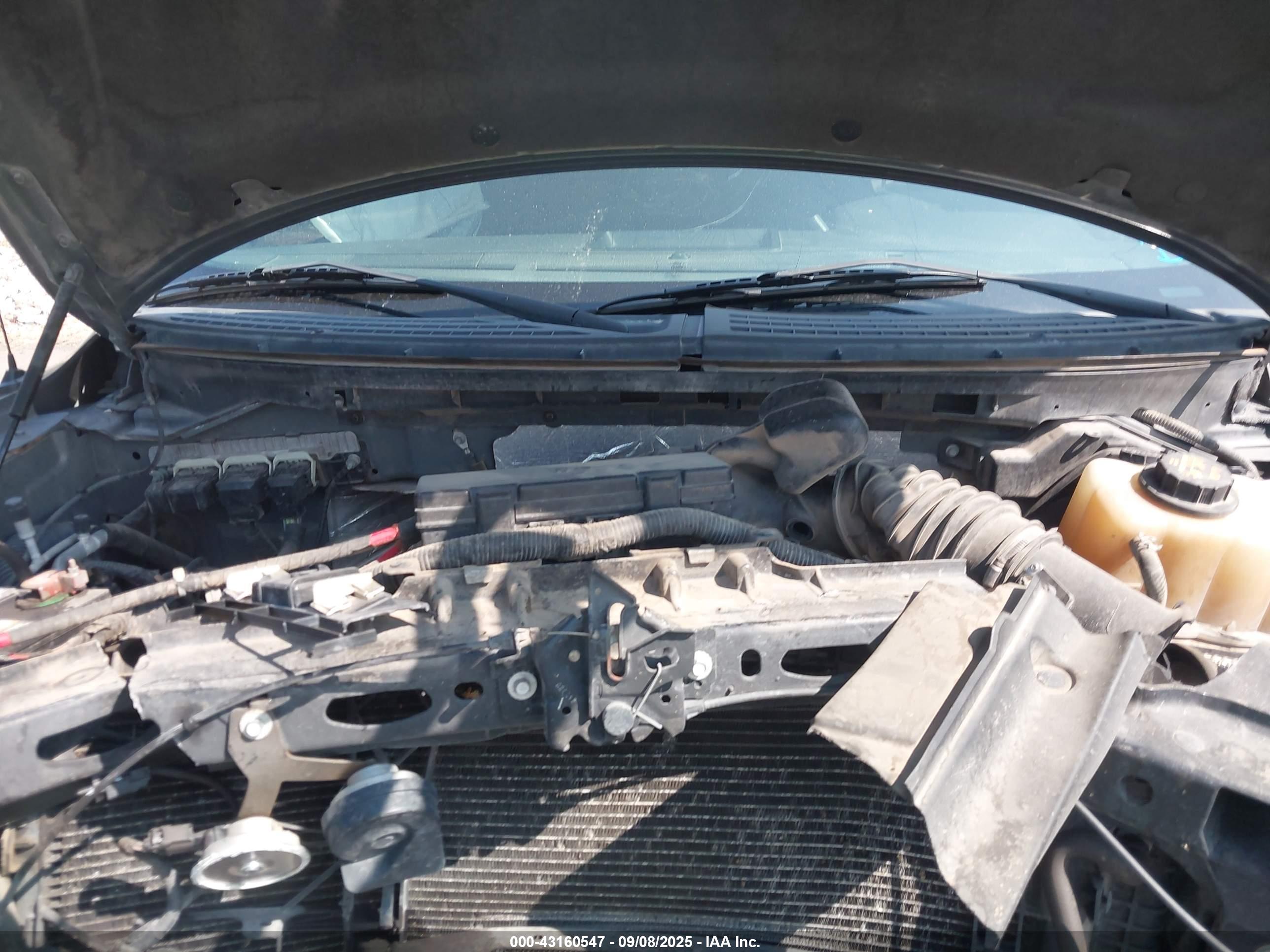 FORD F-150 image 10