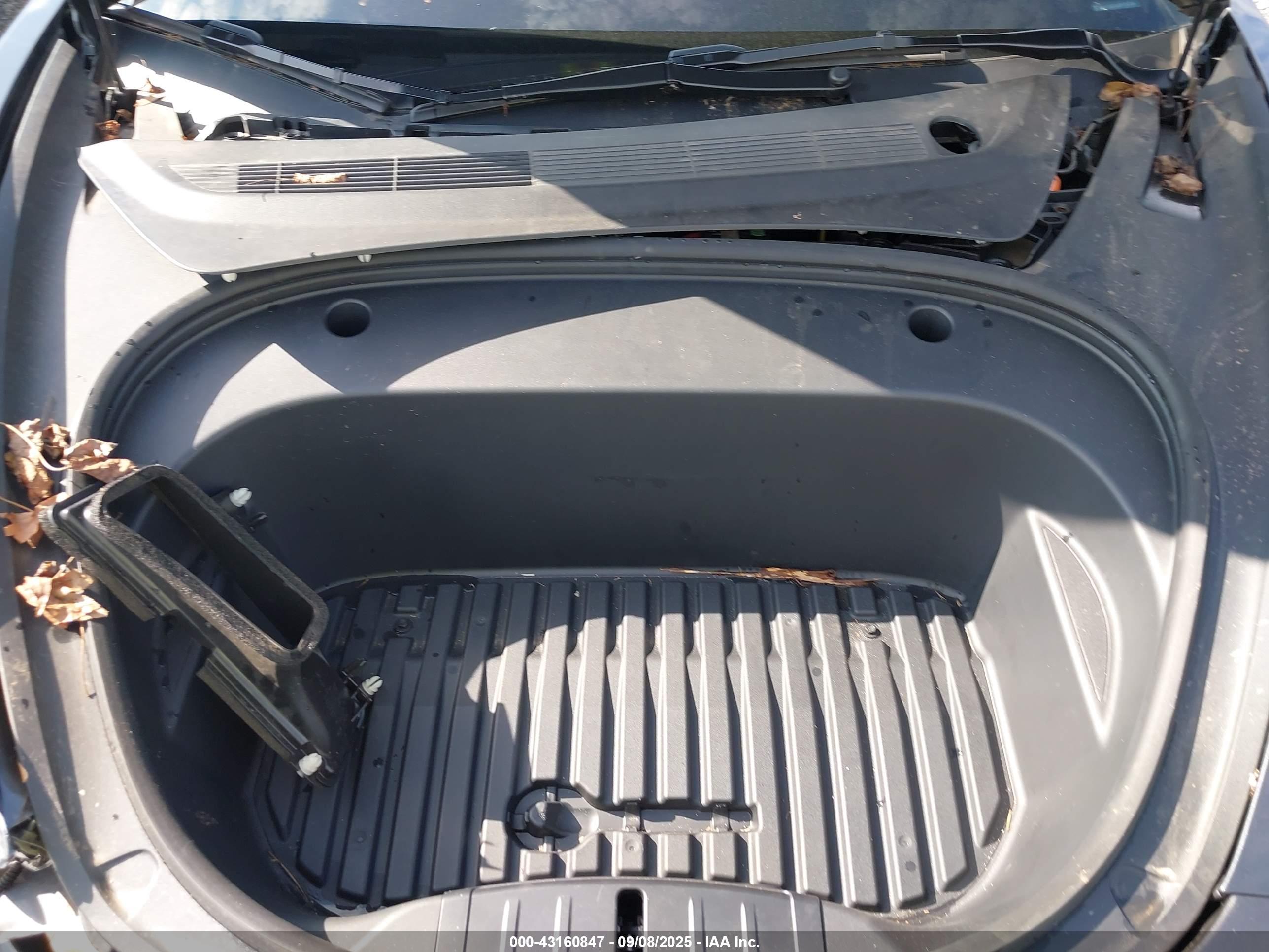 TESLA MODEL image 10