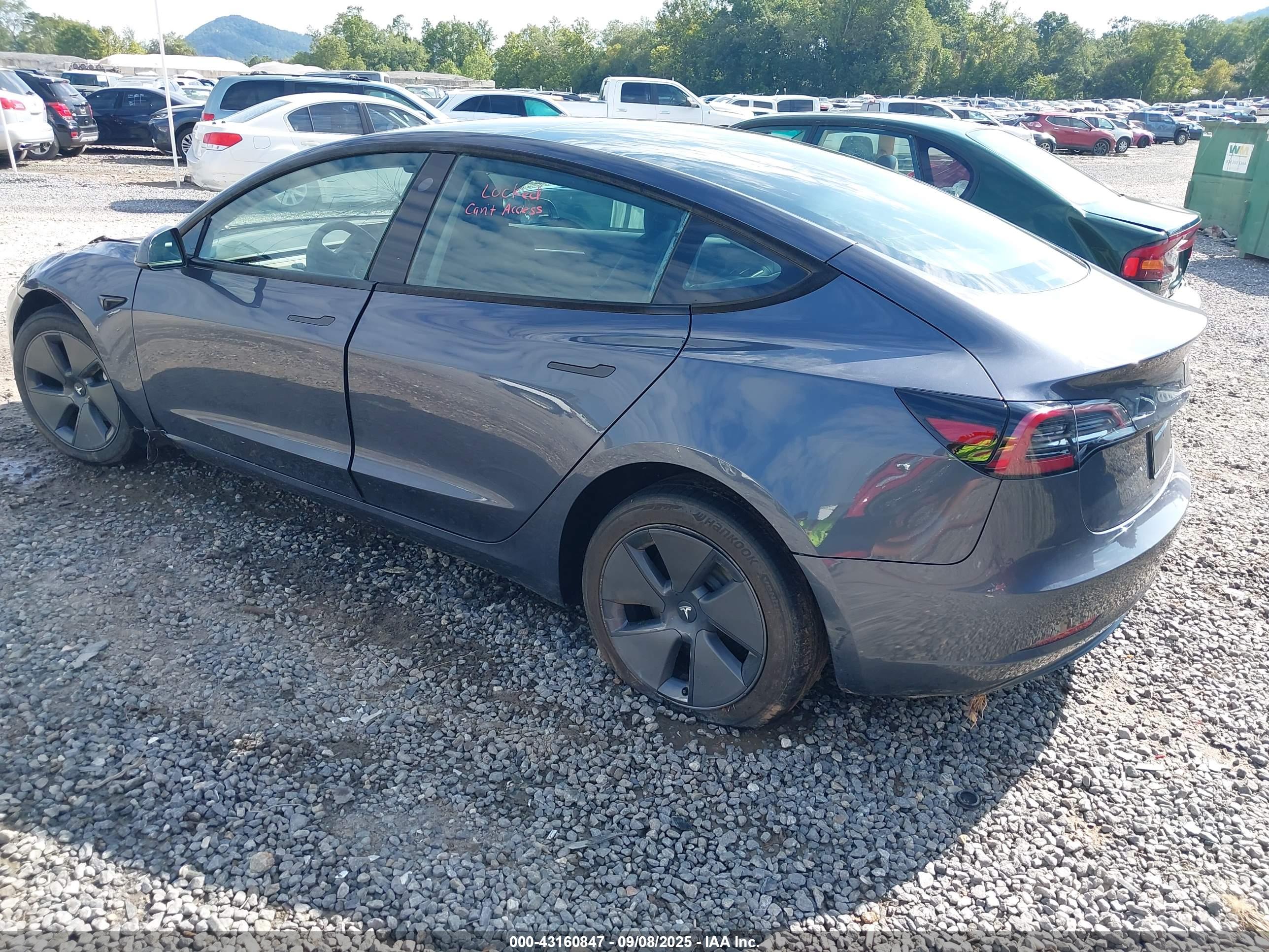 TESLA MODEL image 3