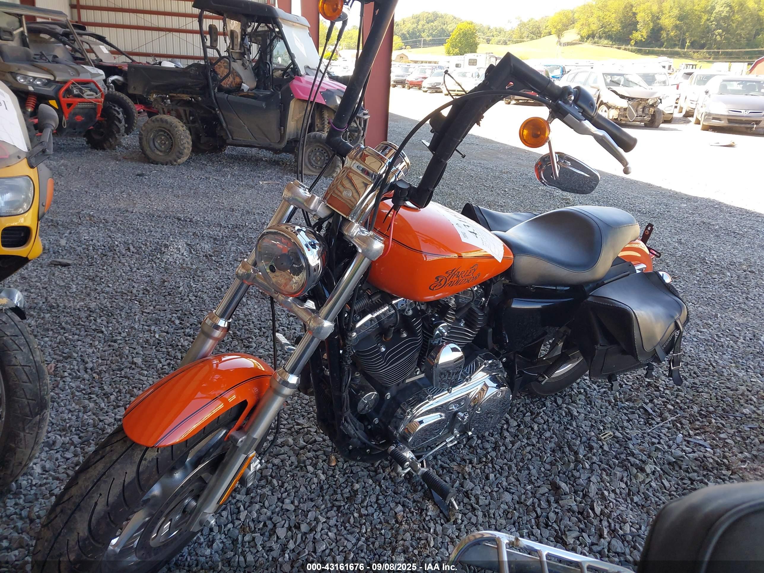 HARLEY-DAVIDSON XL1200 image 2