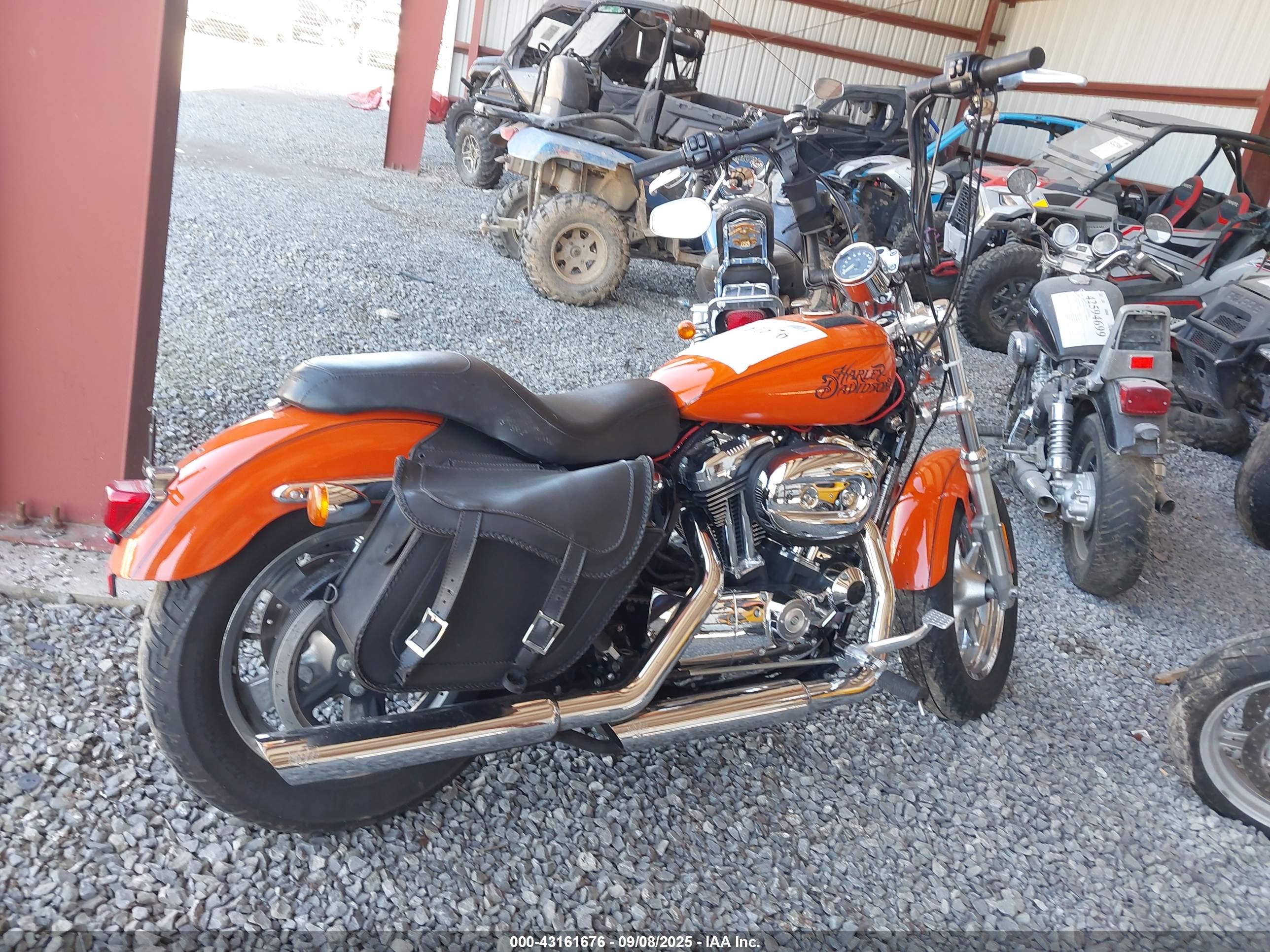HARLEY-DAVIDSON XL1200 image 4