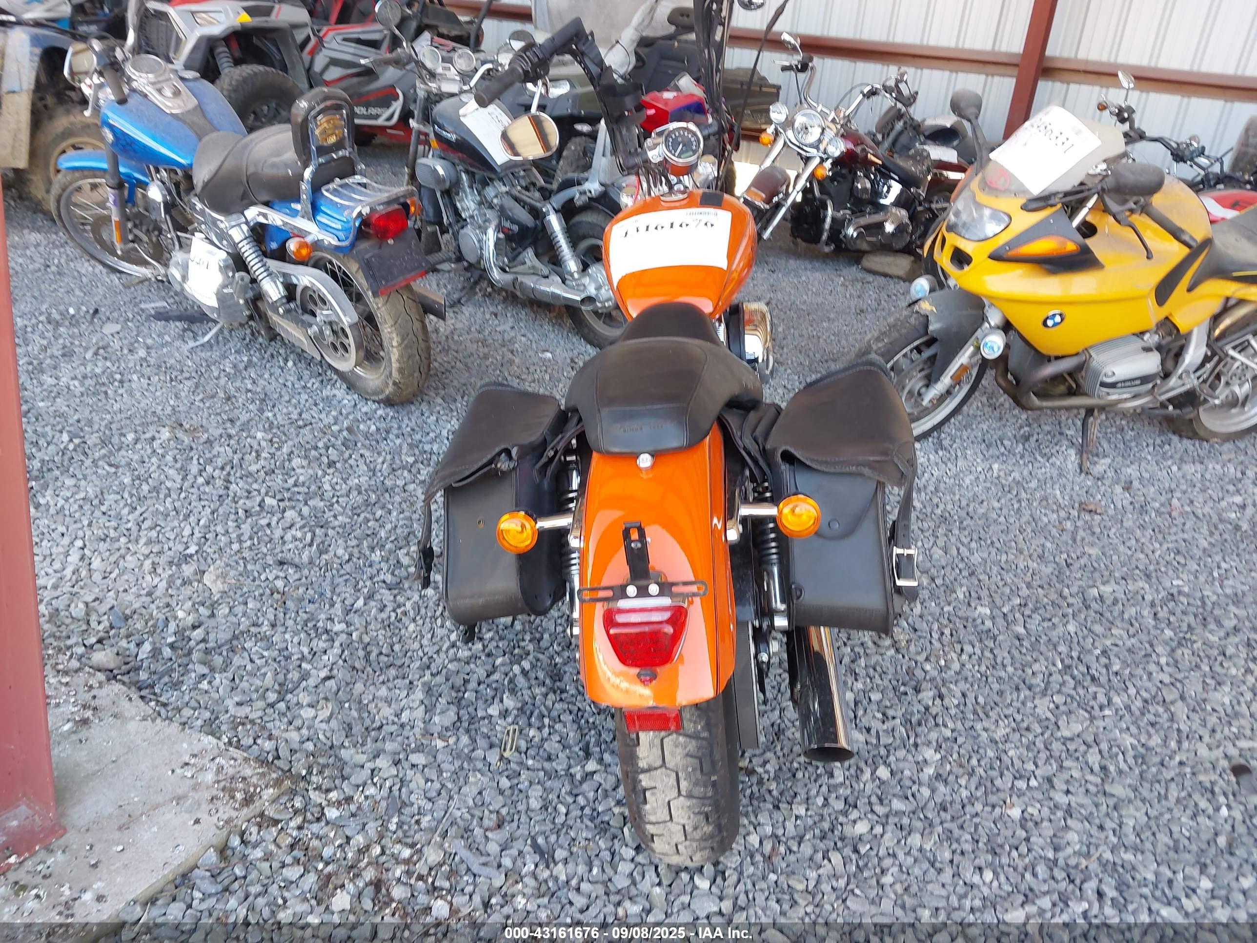 HARLEY-DAVIDSON XL1200 image 6