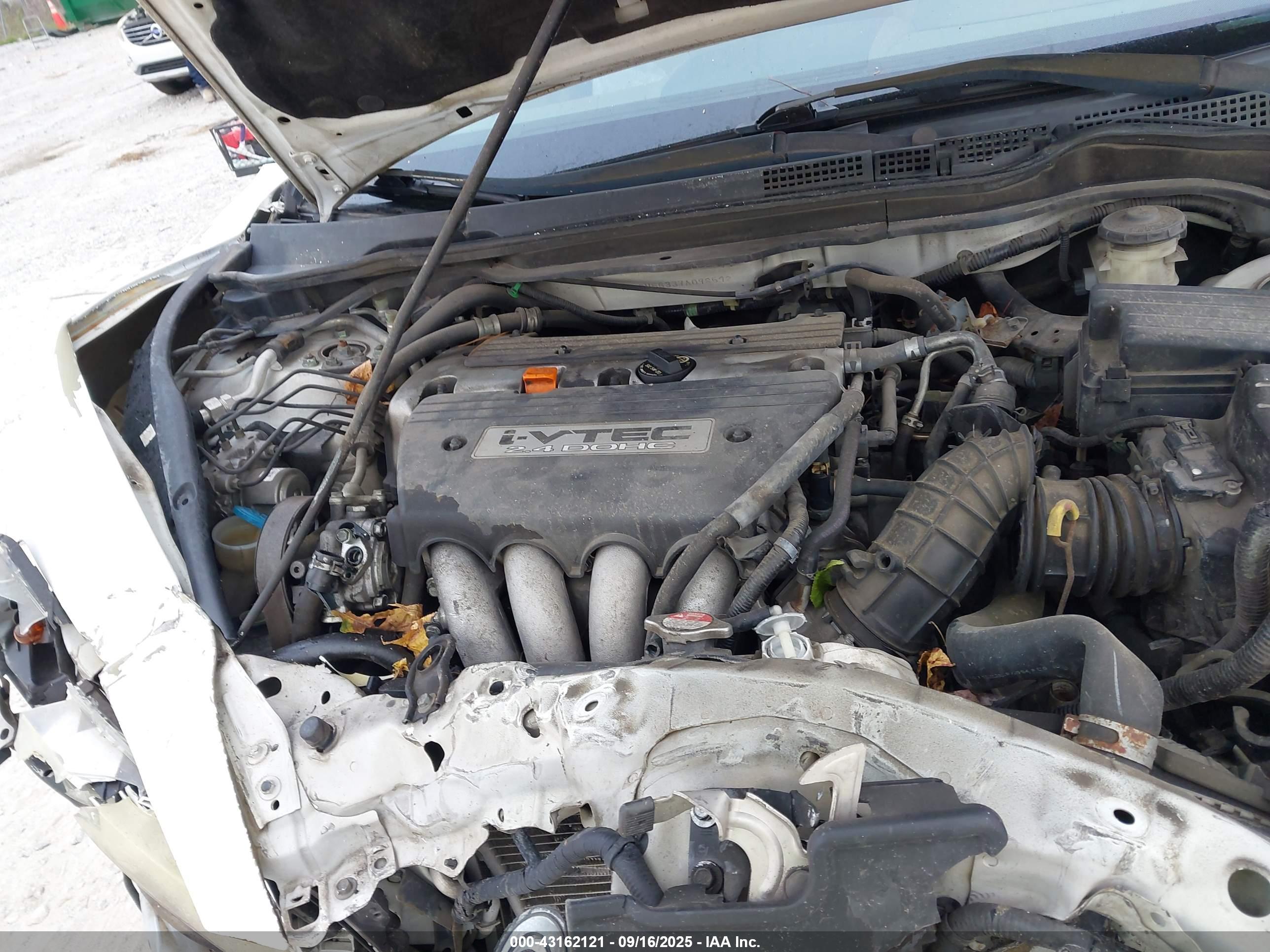 HONDA ACCORD image 10