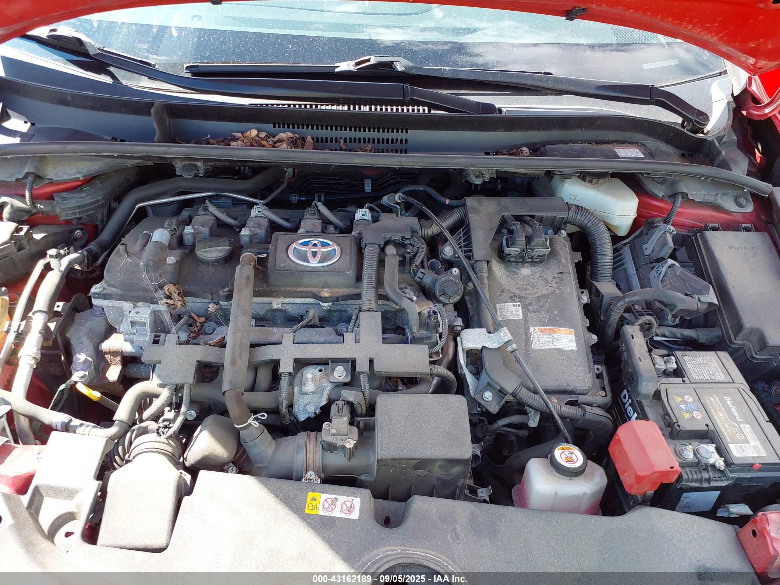 TOYOTA COROLLA image 10