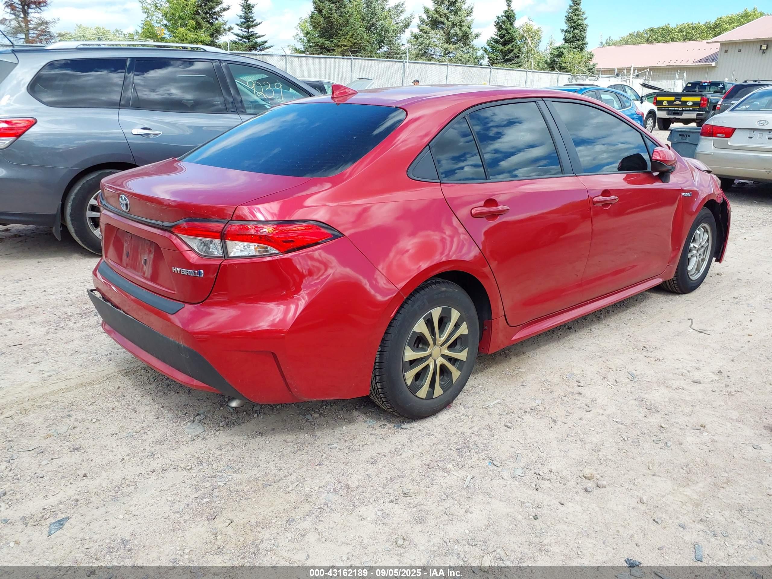 TOYOTA COROLLA image 4
