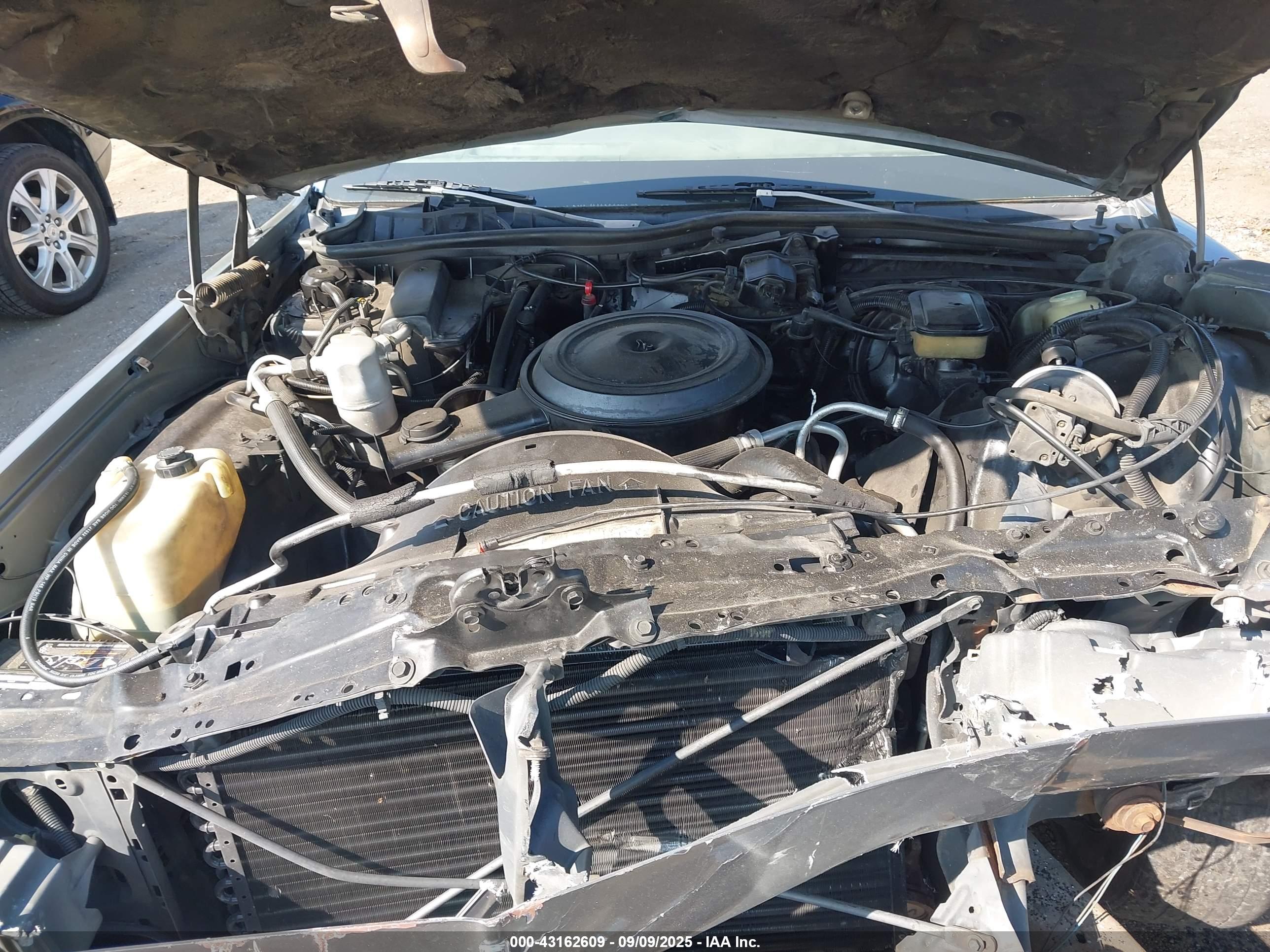 CHEVROLET CAPRICE image 10