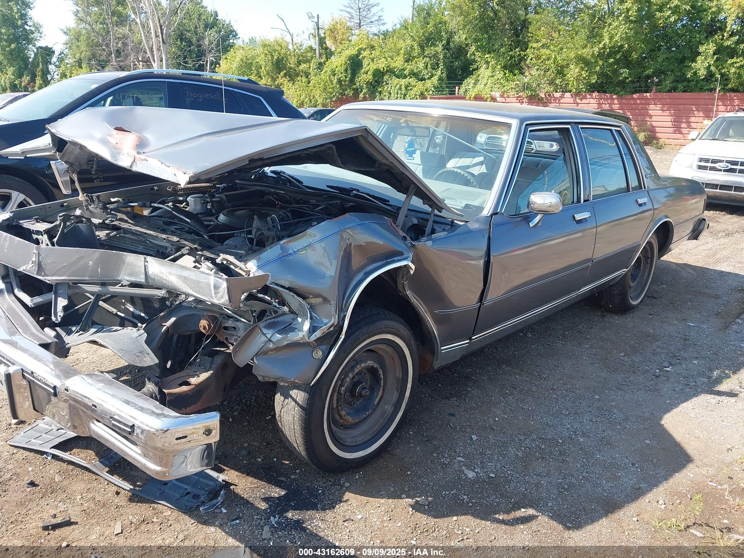 CHEVROLET CAPRICE image 2