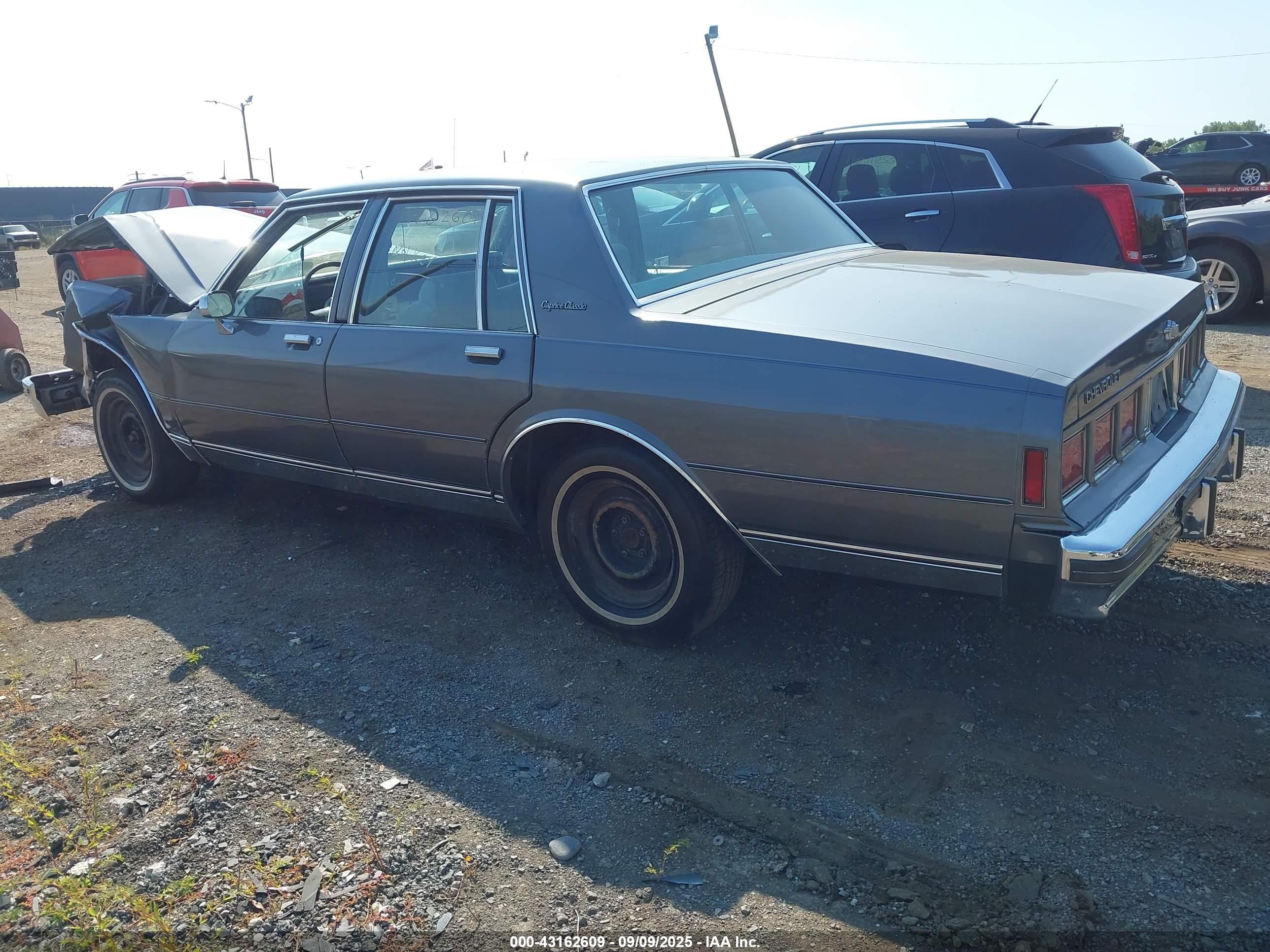 CHEVROLET CAPRICE image 3