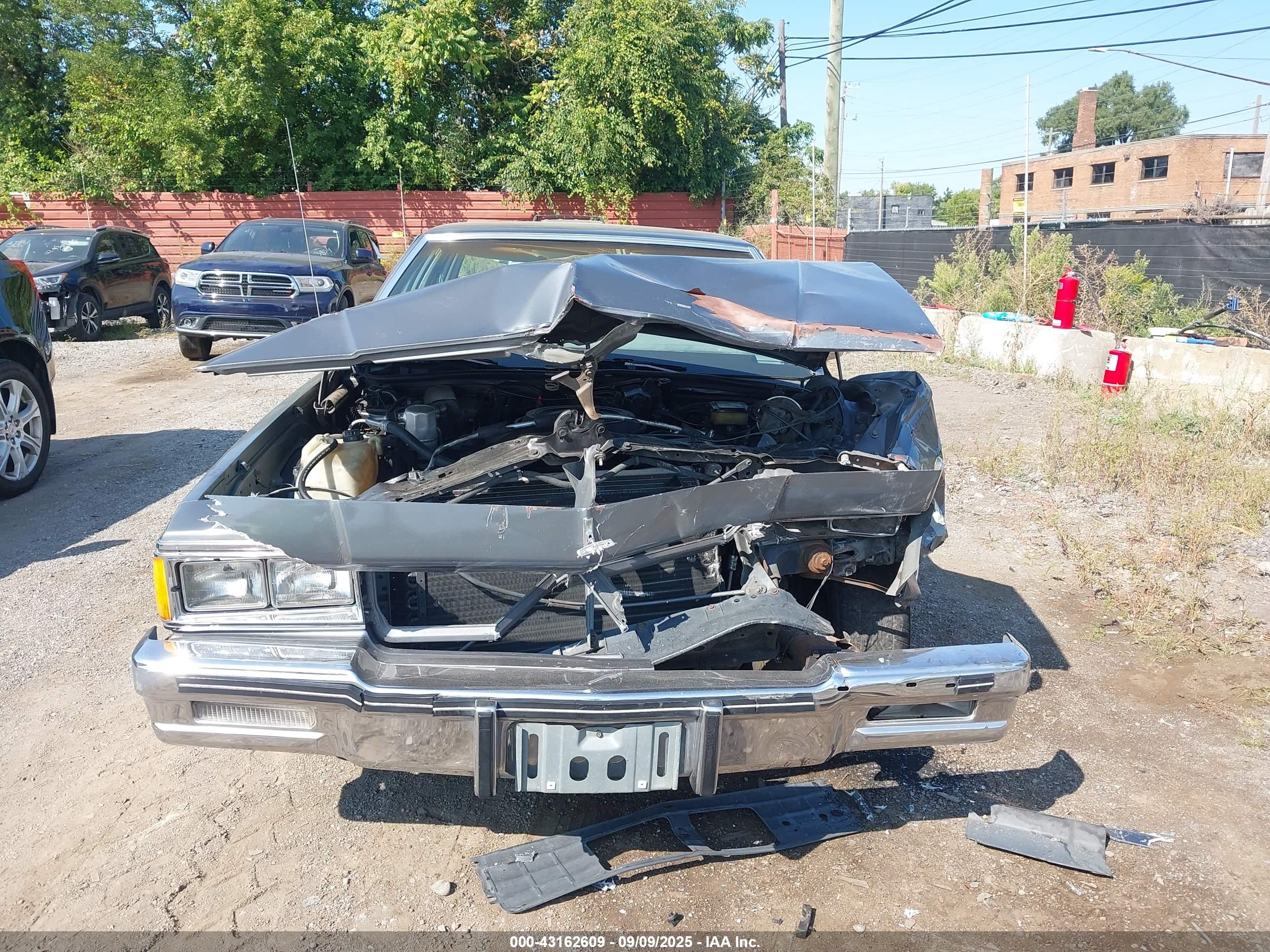 CHEVROLET CAPRICE image 6