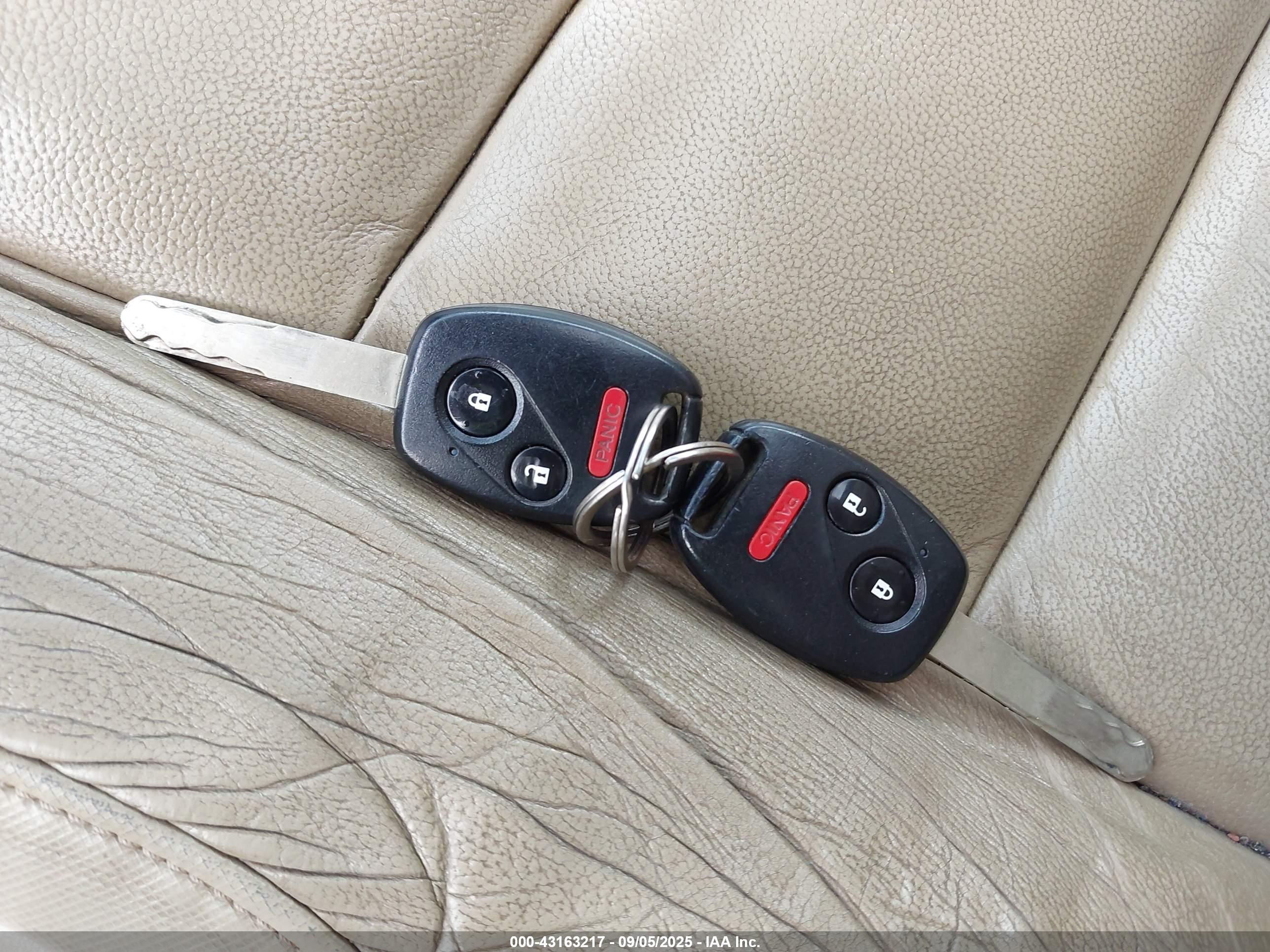 HONDA CR-V image 11