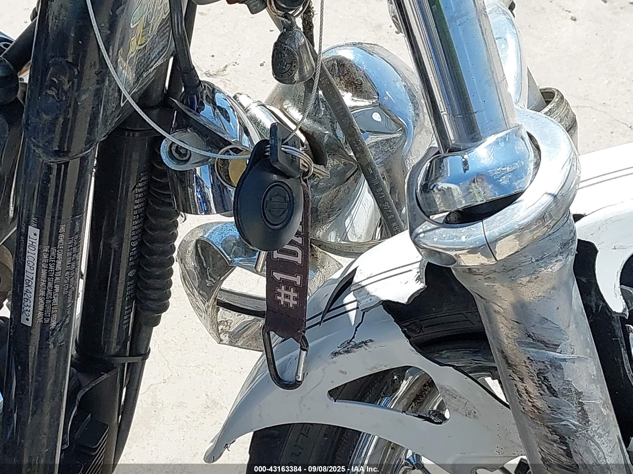 HARLEY-DAVIDSON XL1200 image 11