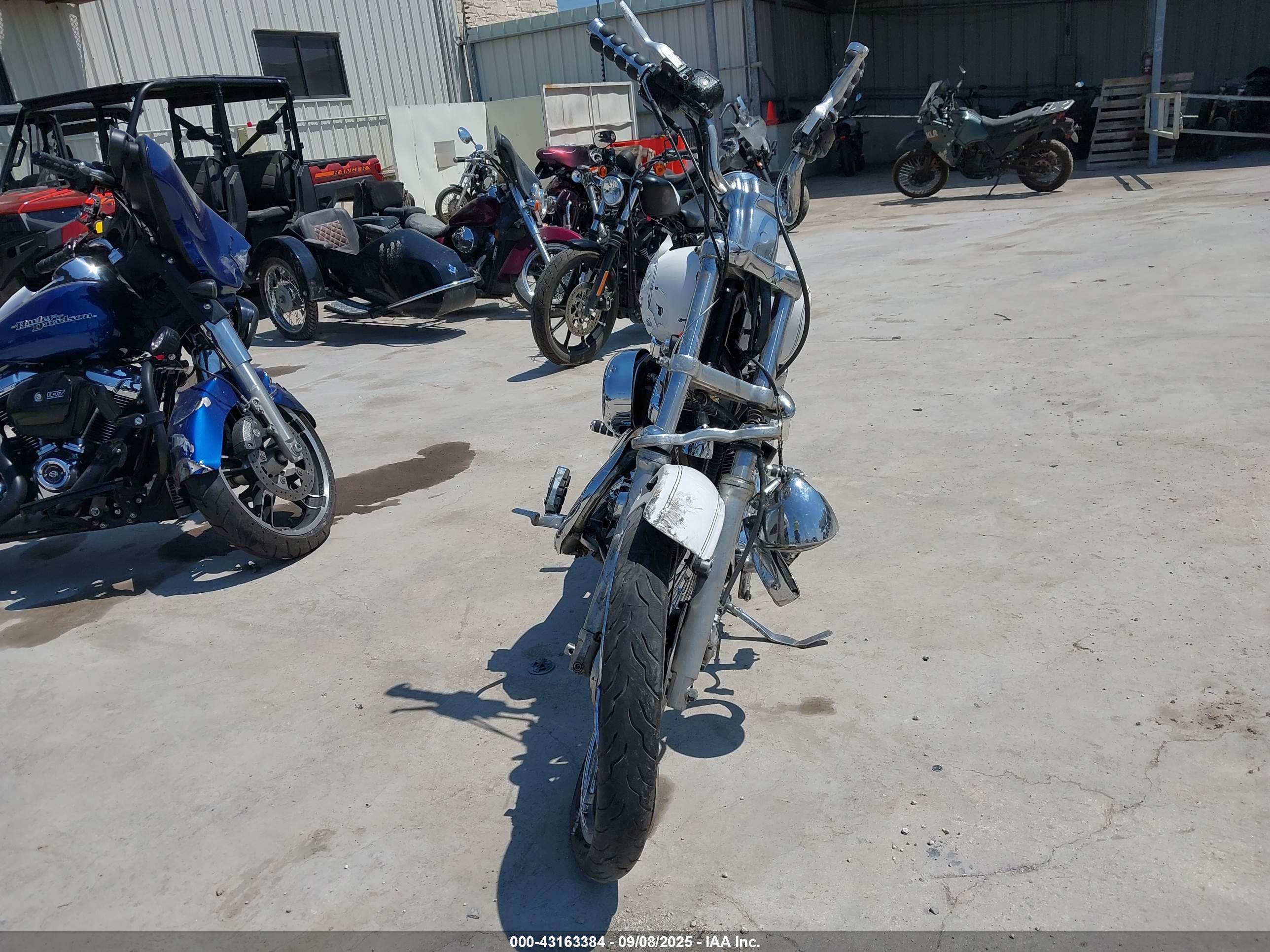 HARLEY-DAVIDSON XL1200 image 5