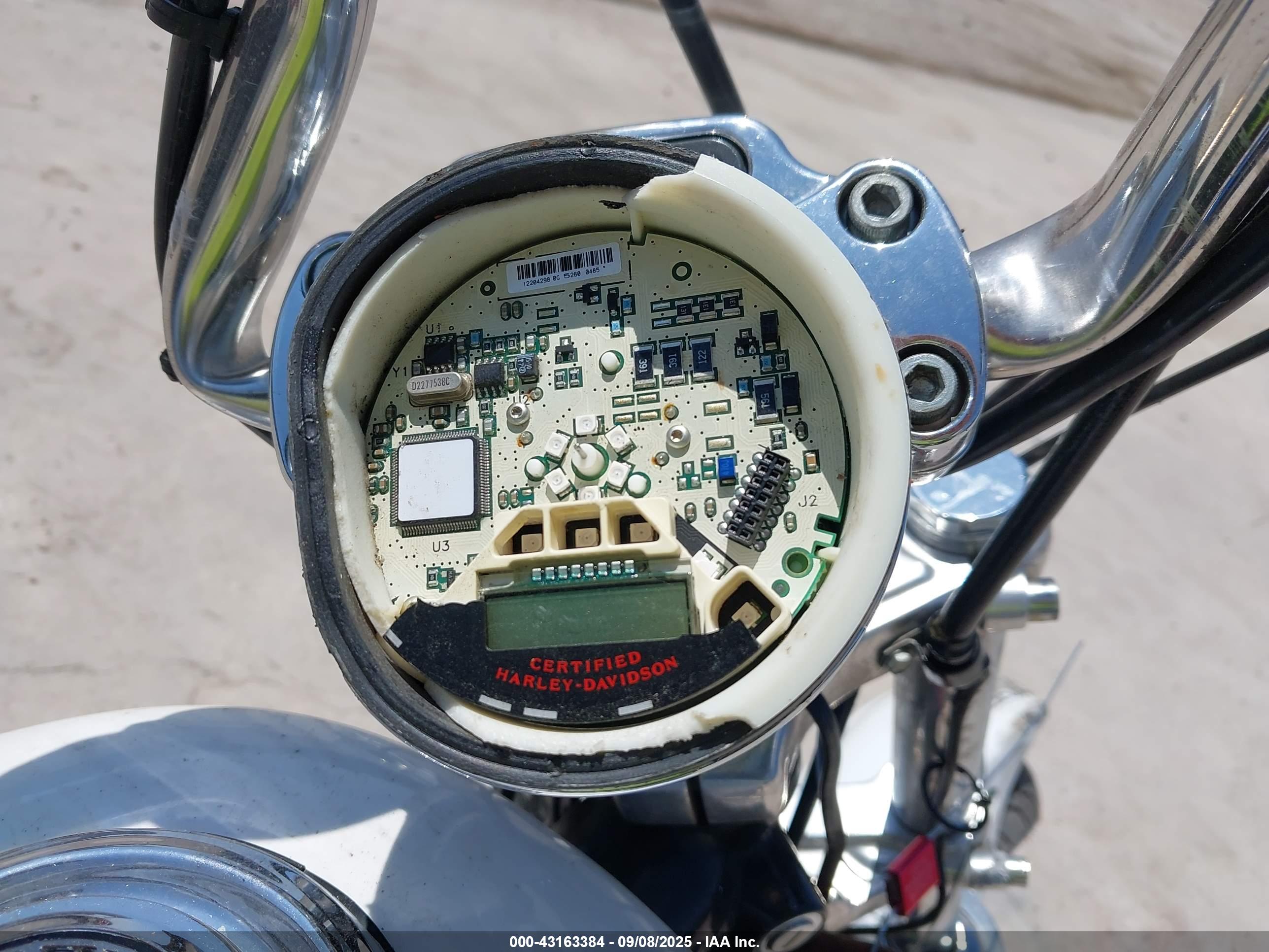 HARLEY-DAVIDSON XL1200 image 7