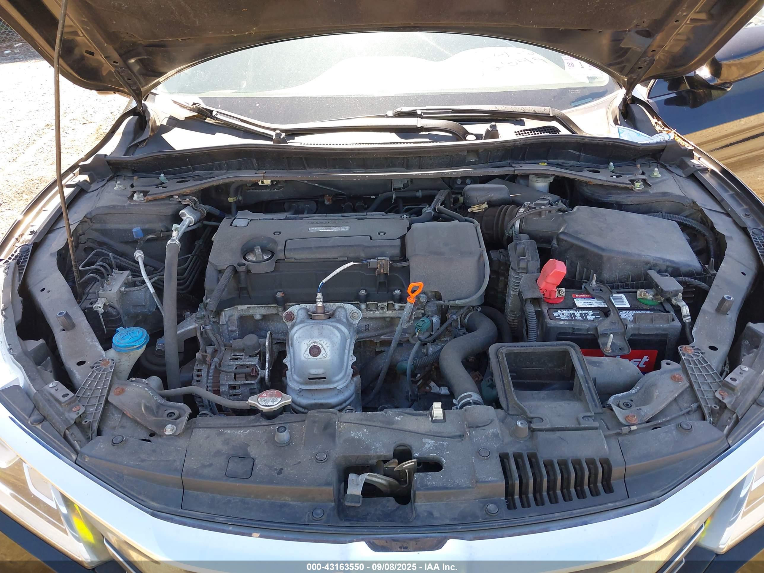 HONDA ACCORD image 10