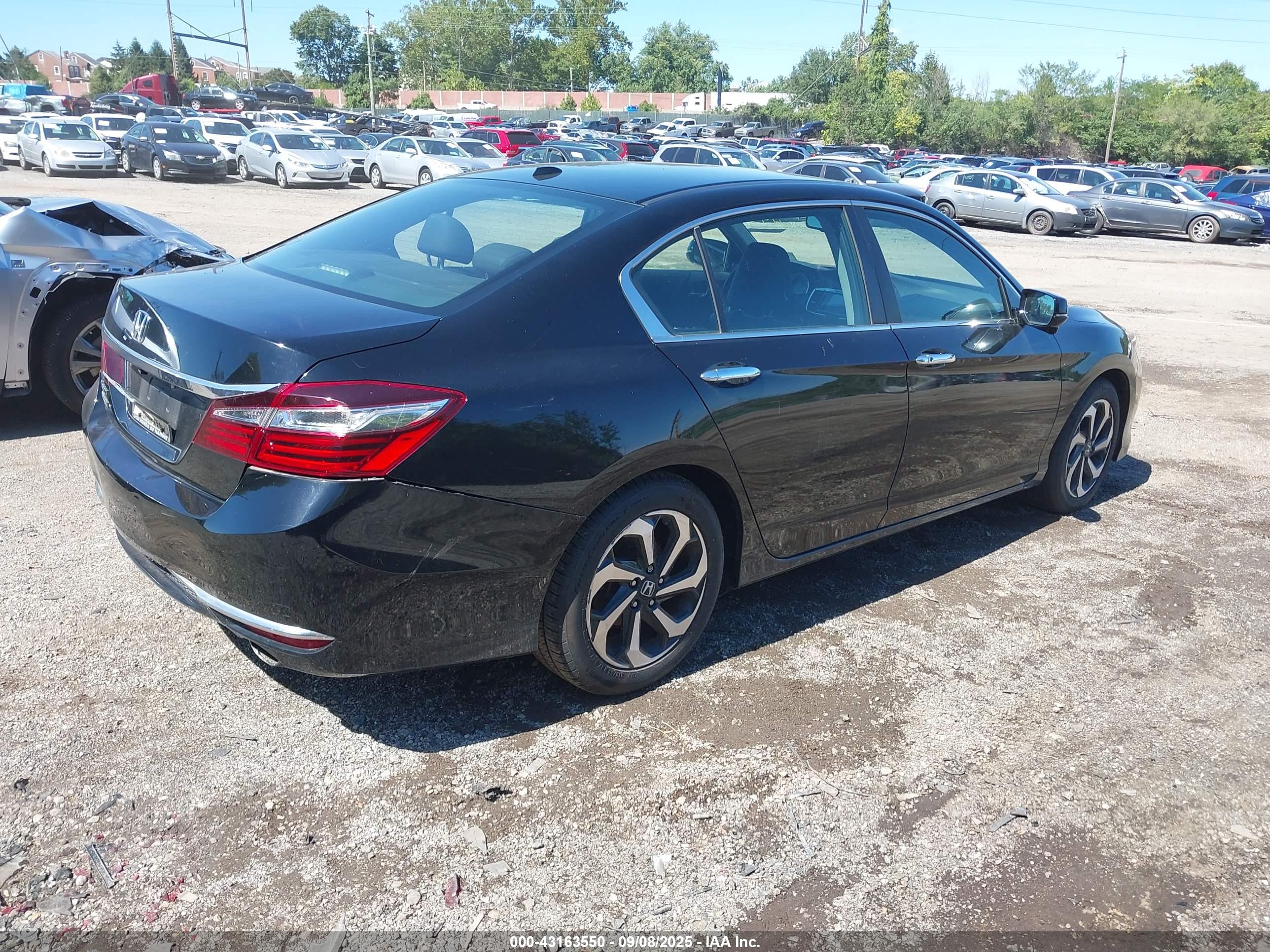 HONDA ACCORD image 4