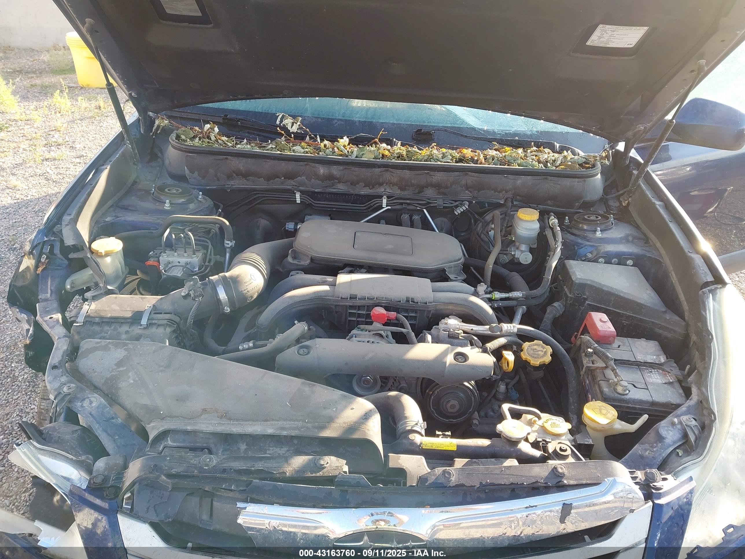 SUBARU OUTBACK image 10